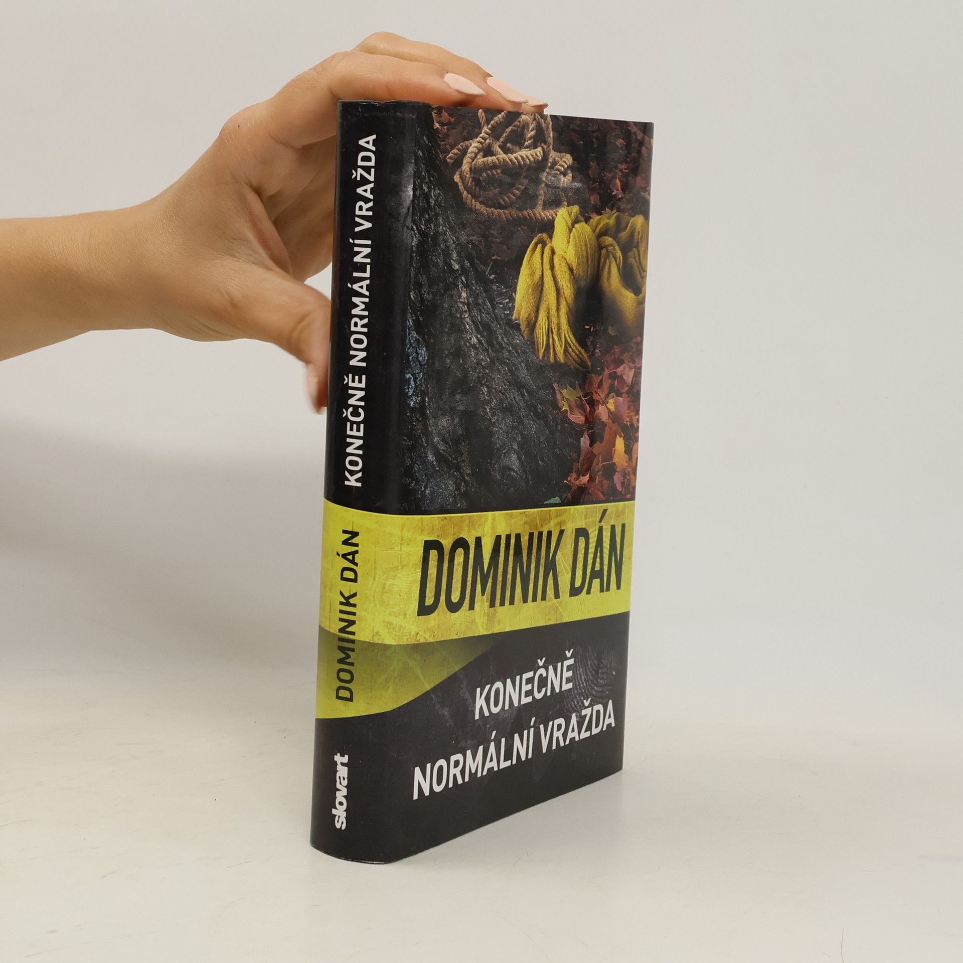 Dominik Dán Konečně normální vražda