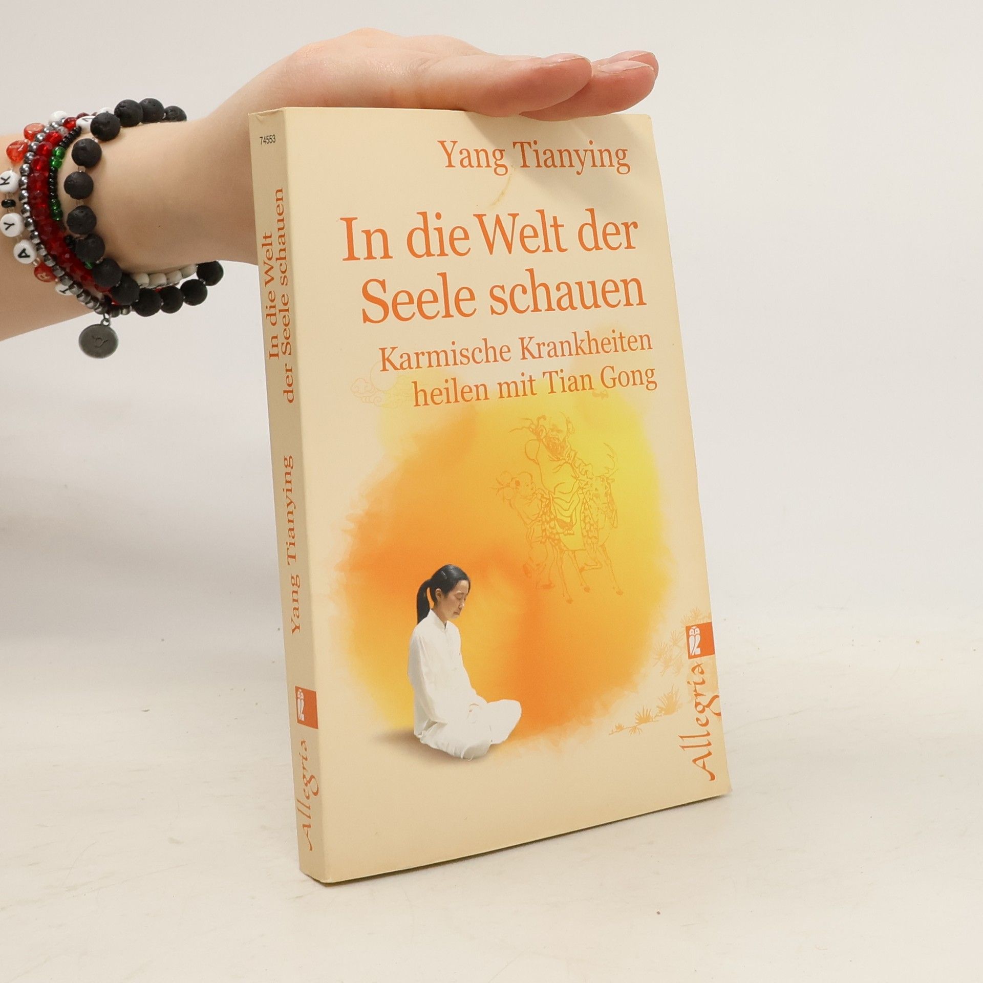Tianying Yang In die Welt der Seele schauen