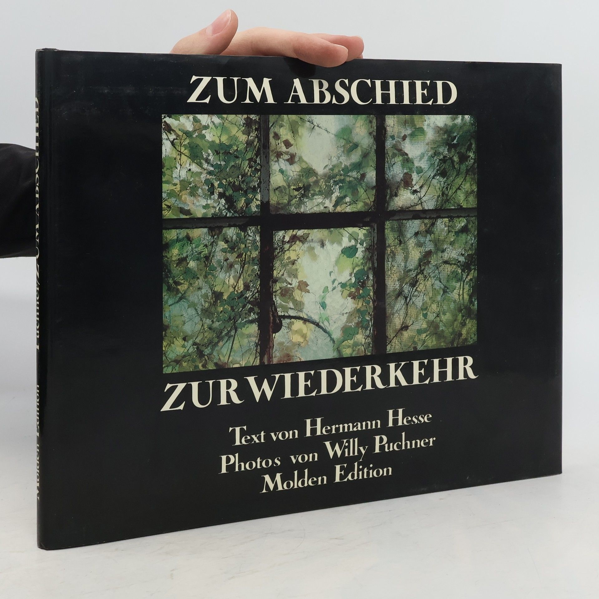 Hermann Hesse Stupně - výbor z veršů - hesse hermann