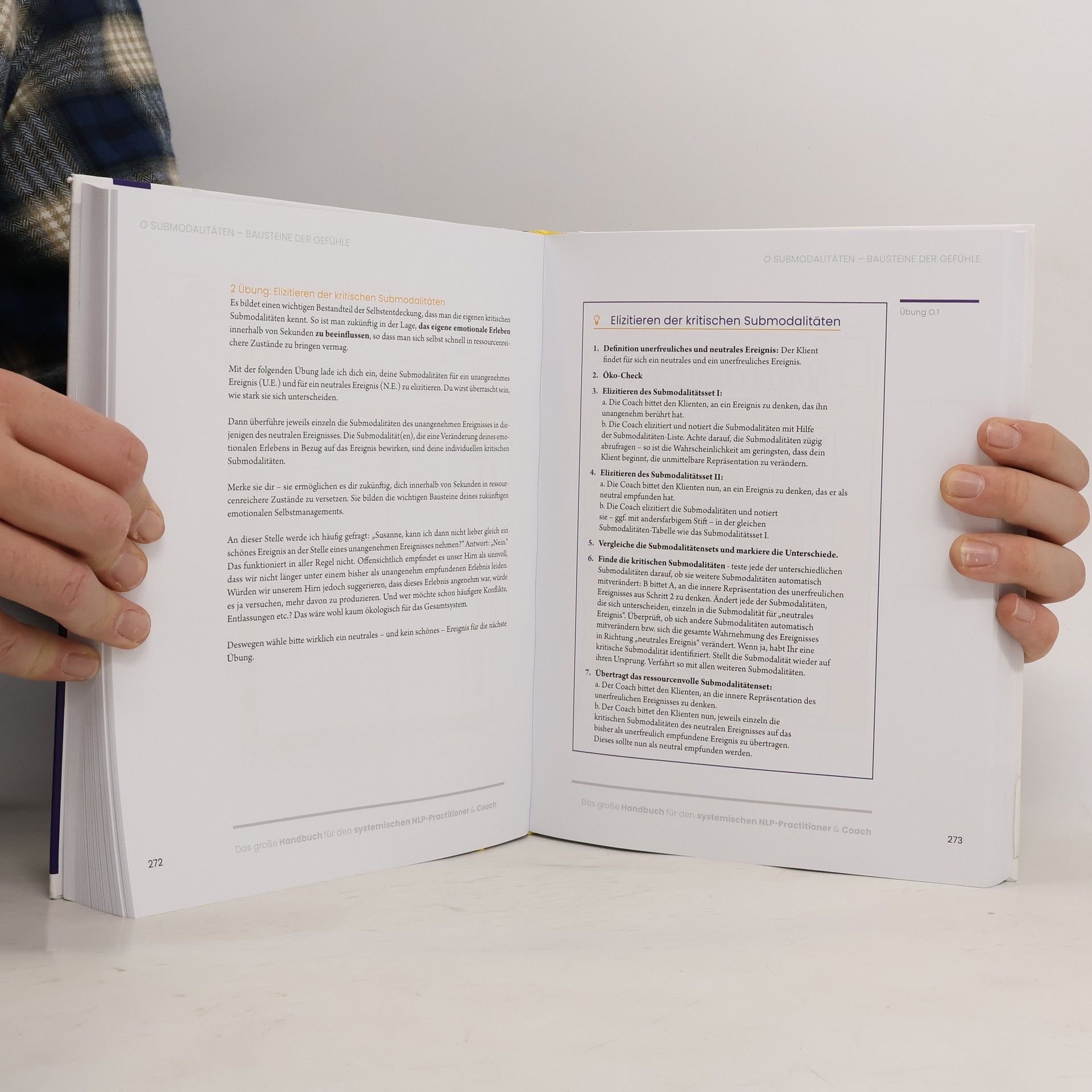 Susanne Lapp Das große Handbuch für den systemischen NLP-Practitioner & Coach