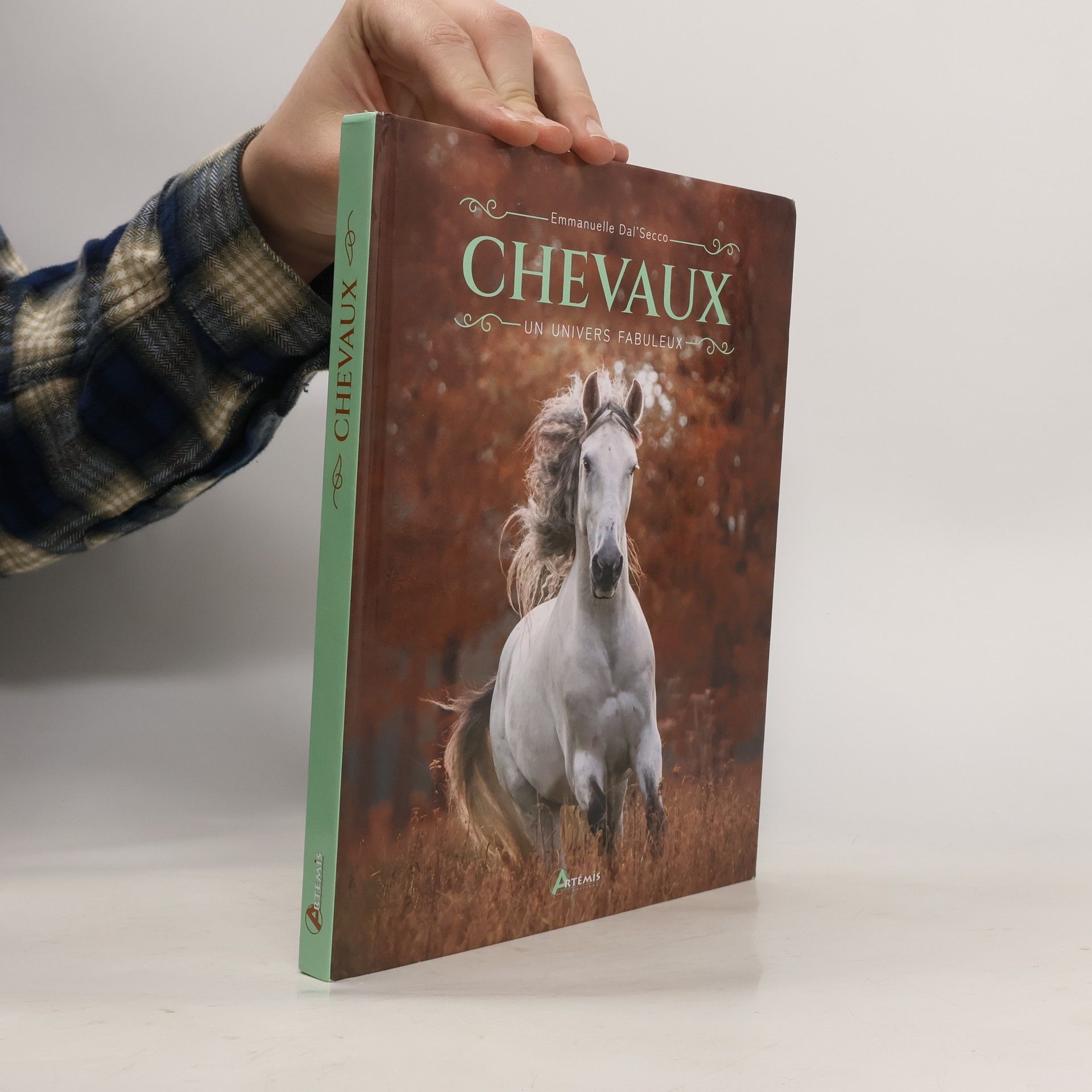 Emmanuelle Dal'Secco Chevaux