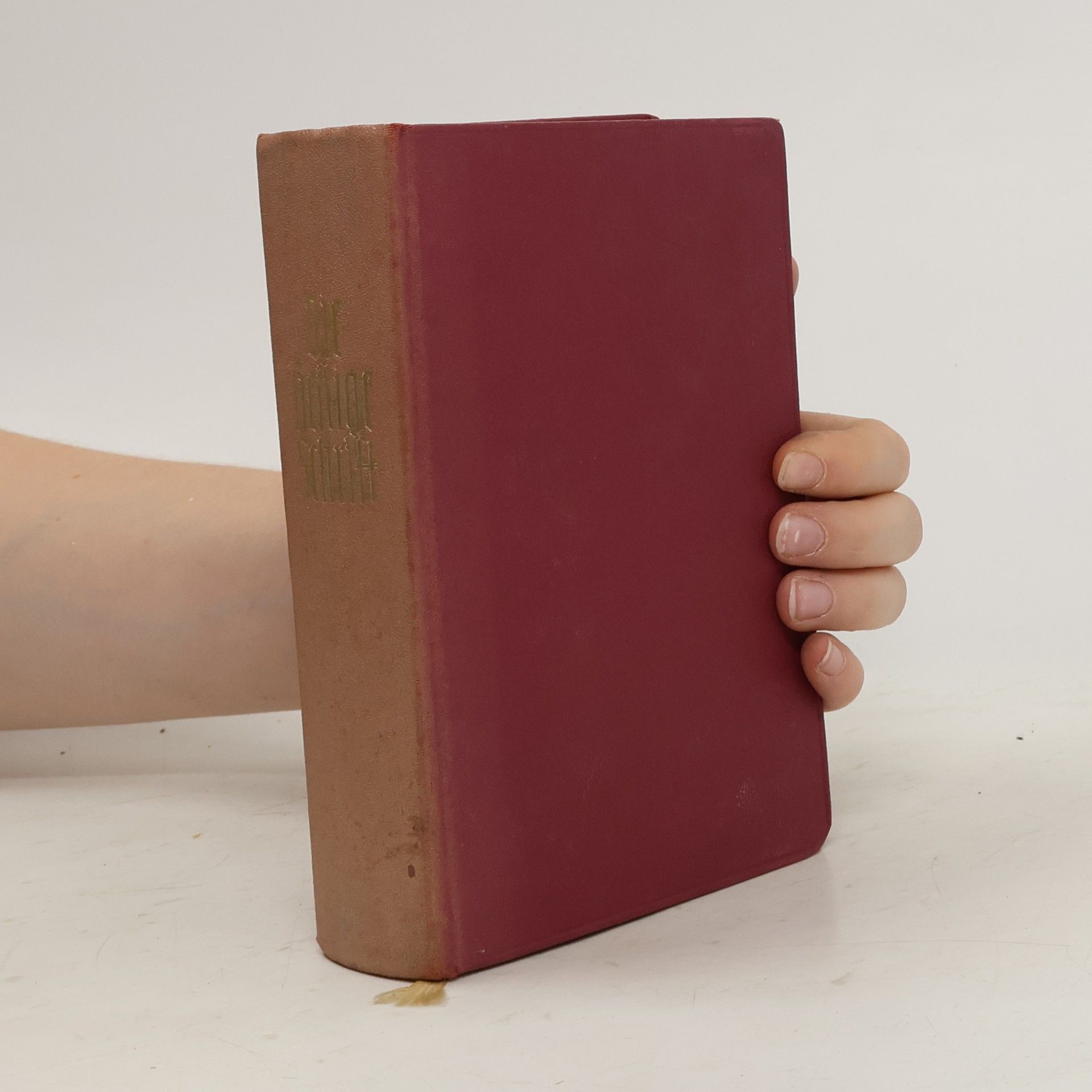 kolektiv Die heilige Schrift