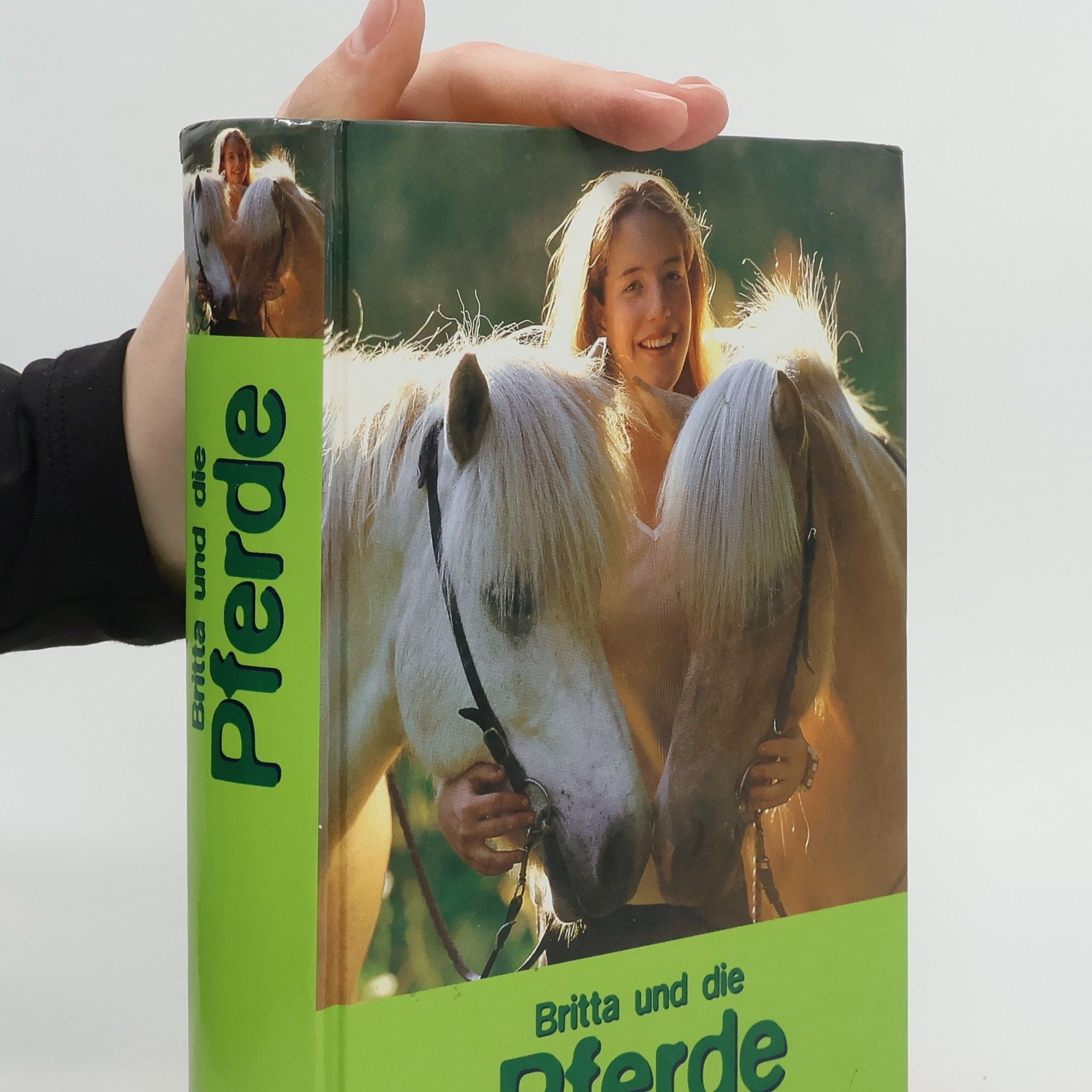 Lisbeth Pahnke Britta und die Pferde