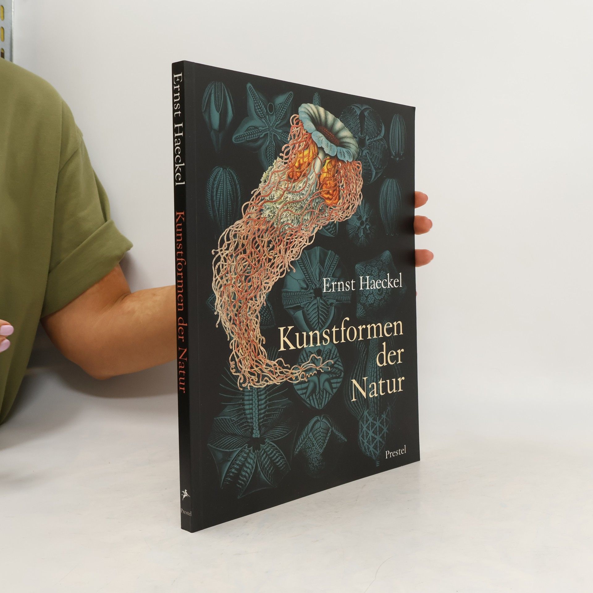 Ernst Haeckel Ernst Haeckel. Kunstformen der Natur