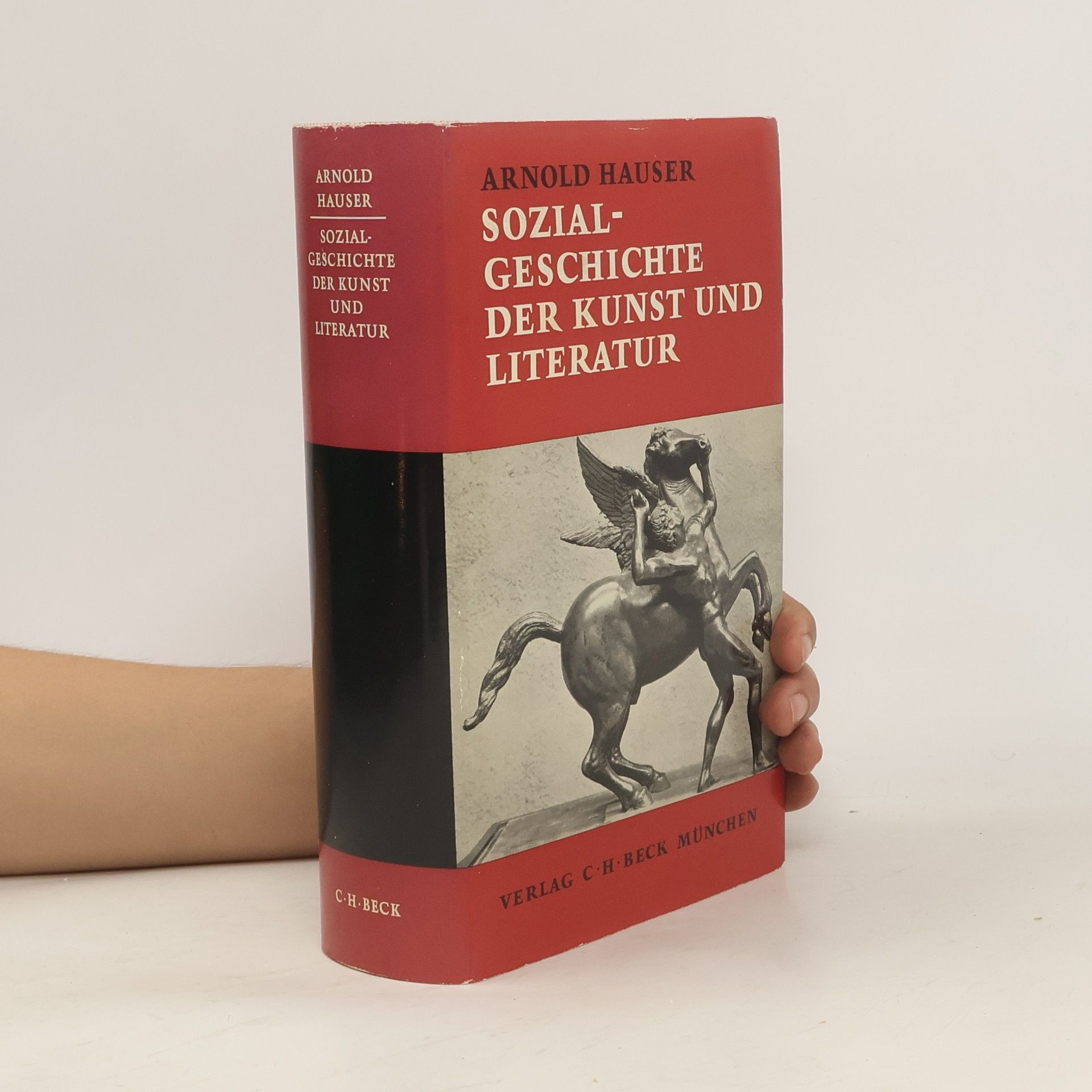 Arnold Hauser Sozialgeschichte der Kunst und Literatur