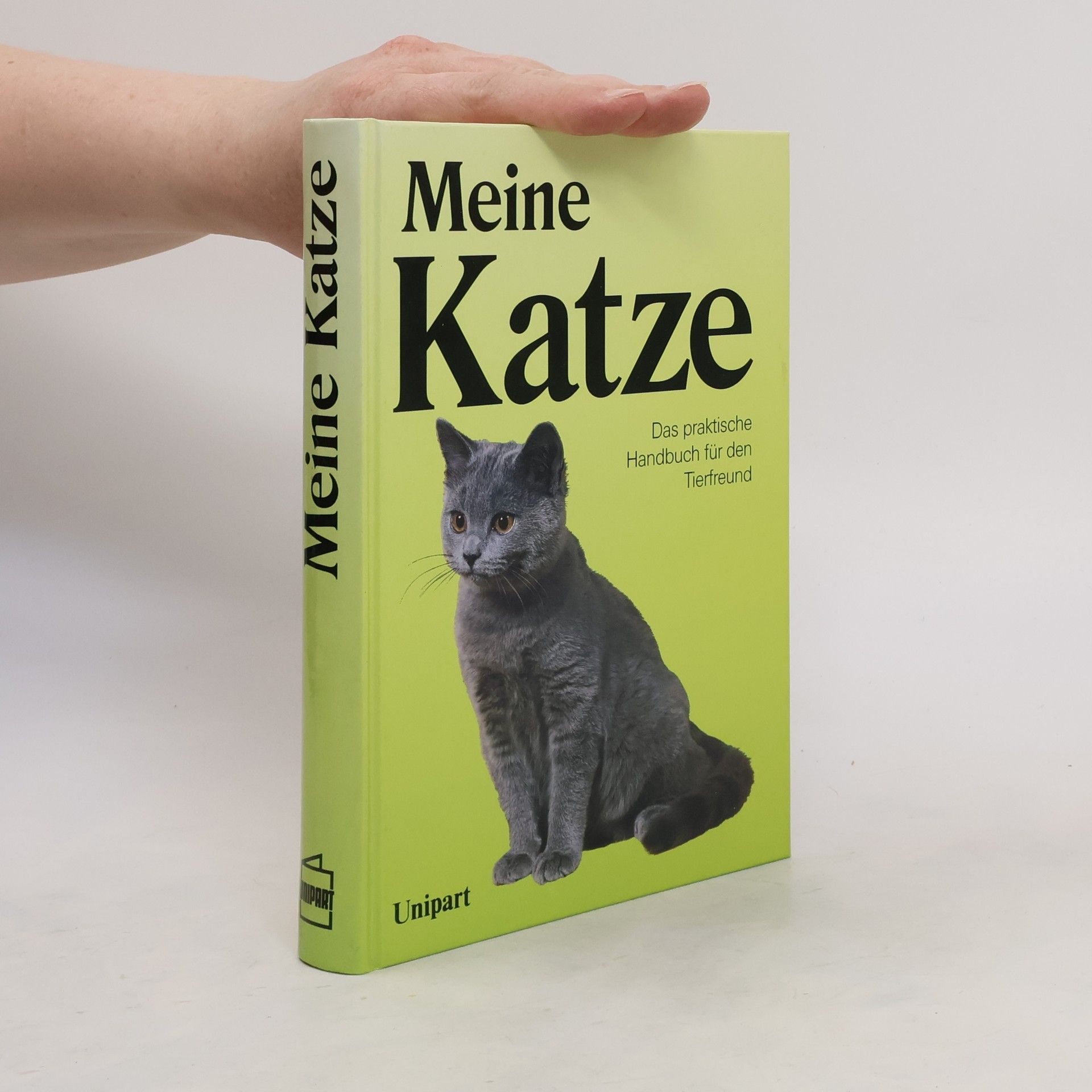 David Taylor Meine Katze