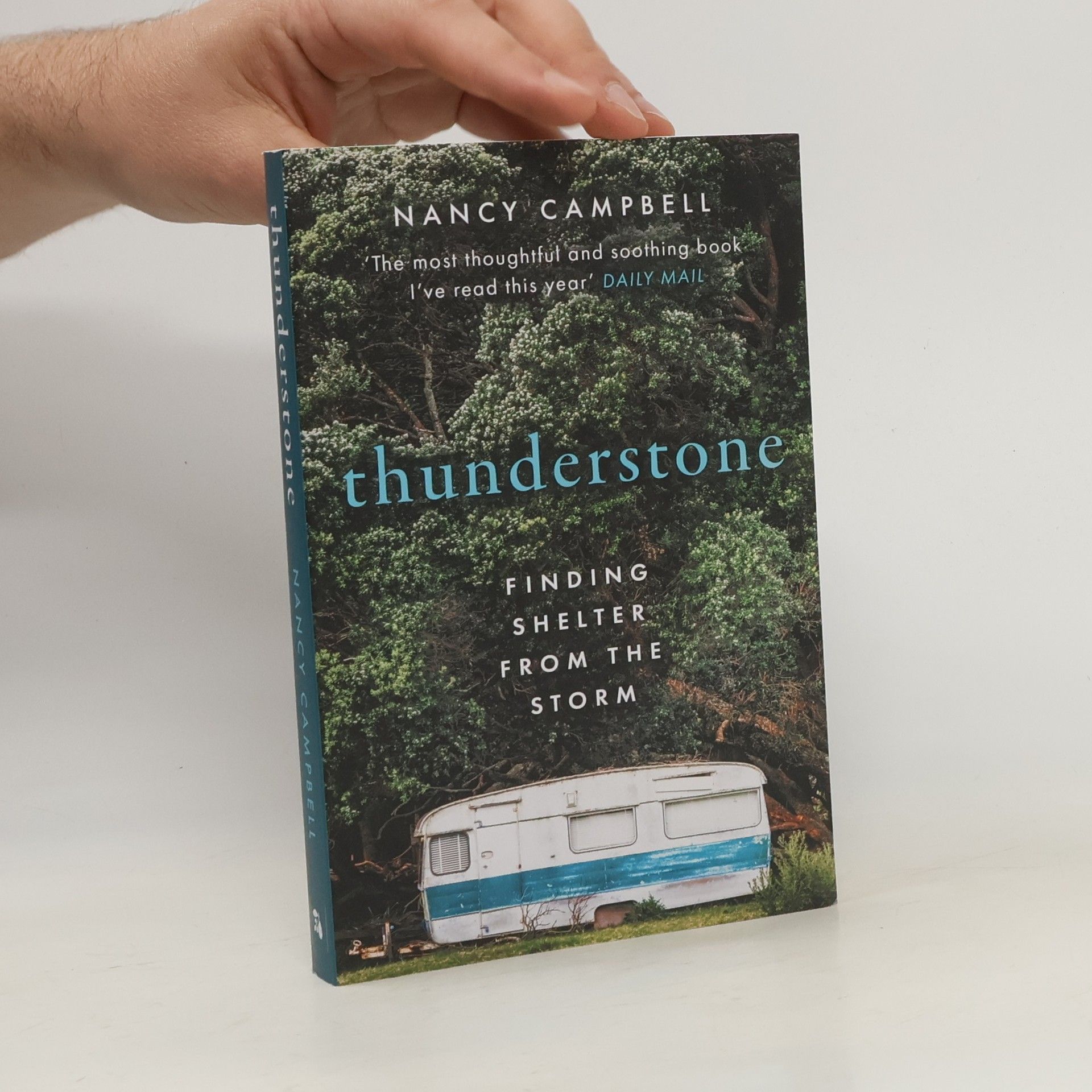 Nancy Campbell Thunderstone