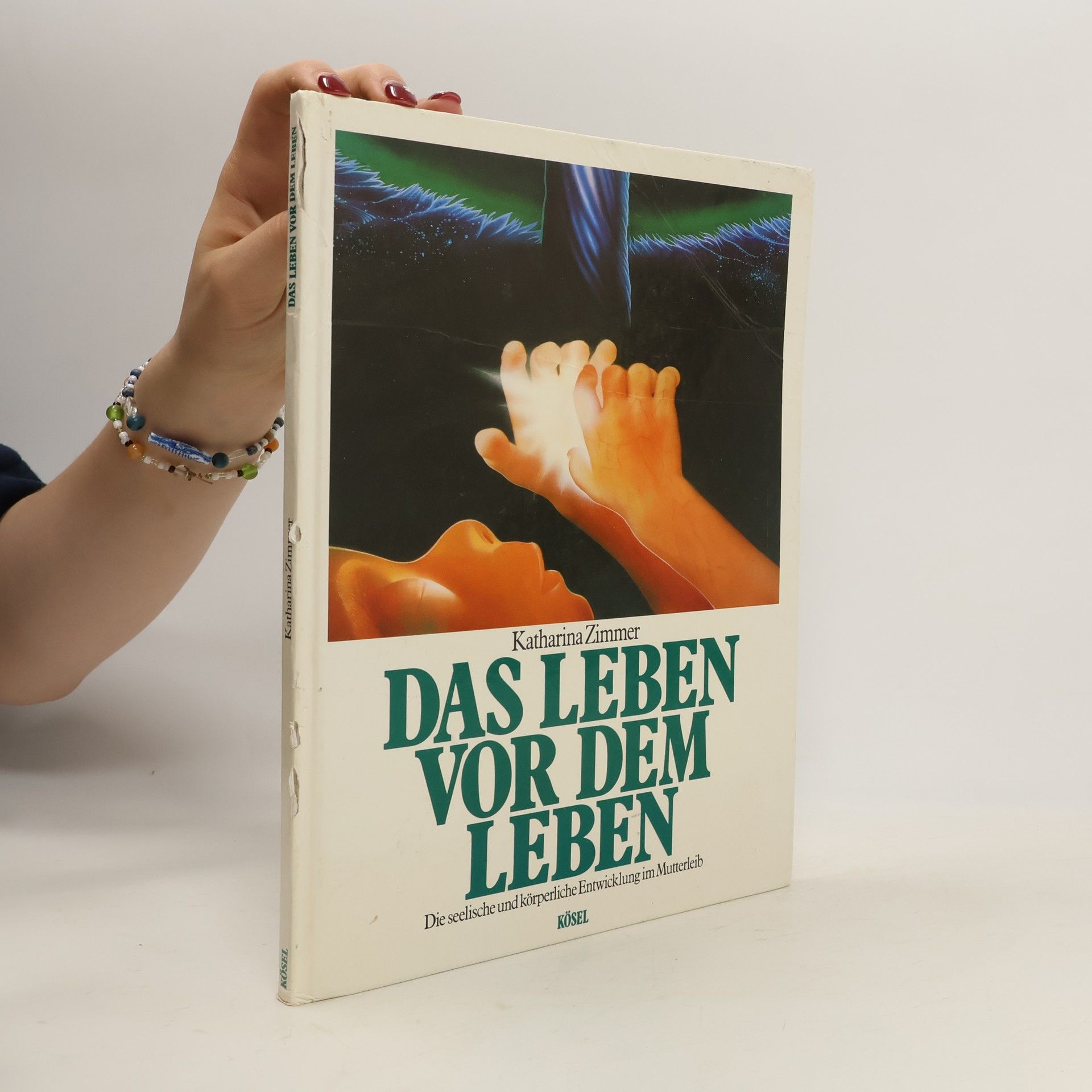 Katharina Zimmer Das Leben vor dem Leben