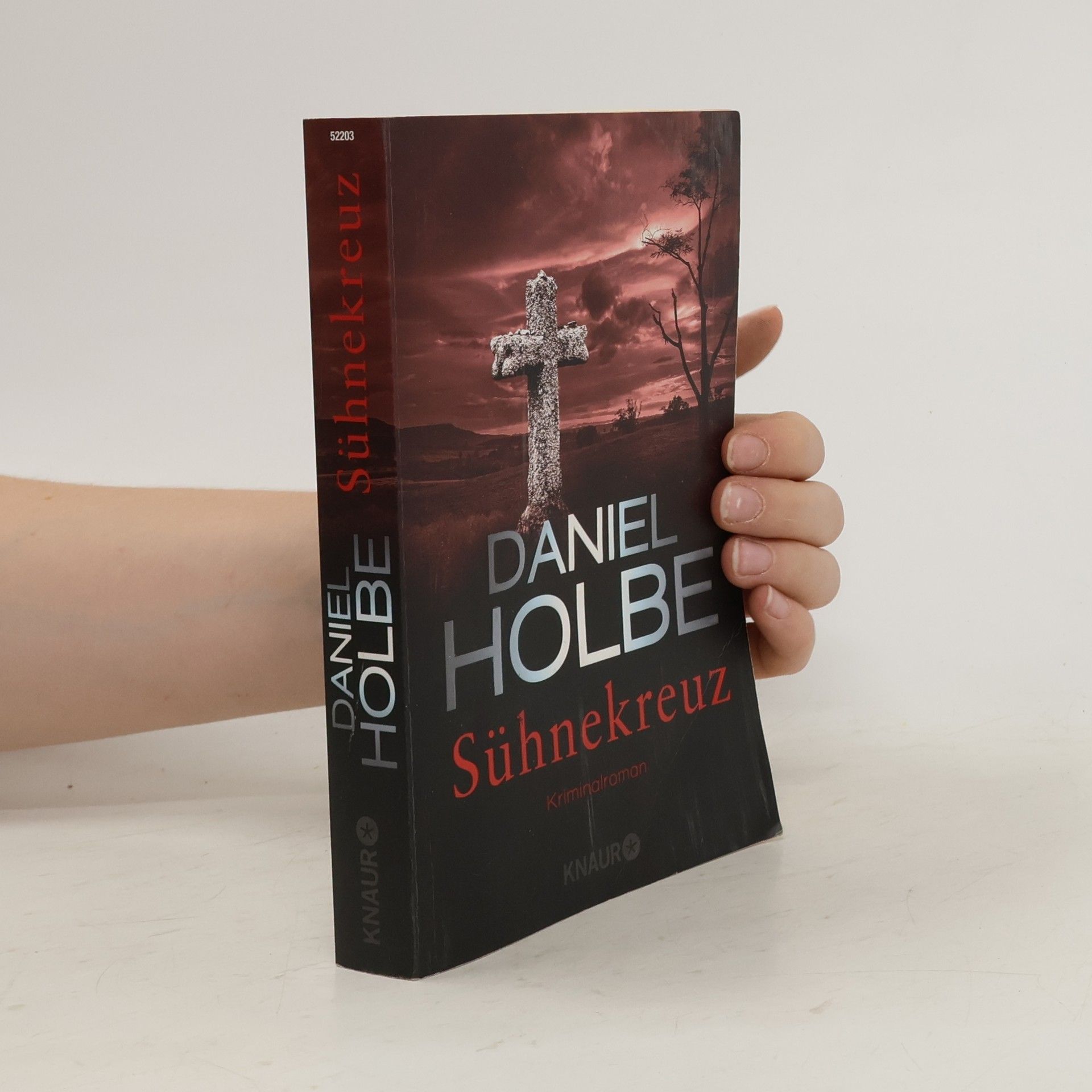 Daniel Holbe Sühnekreuz