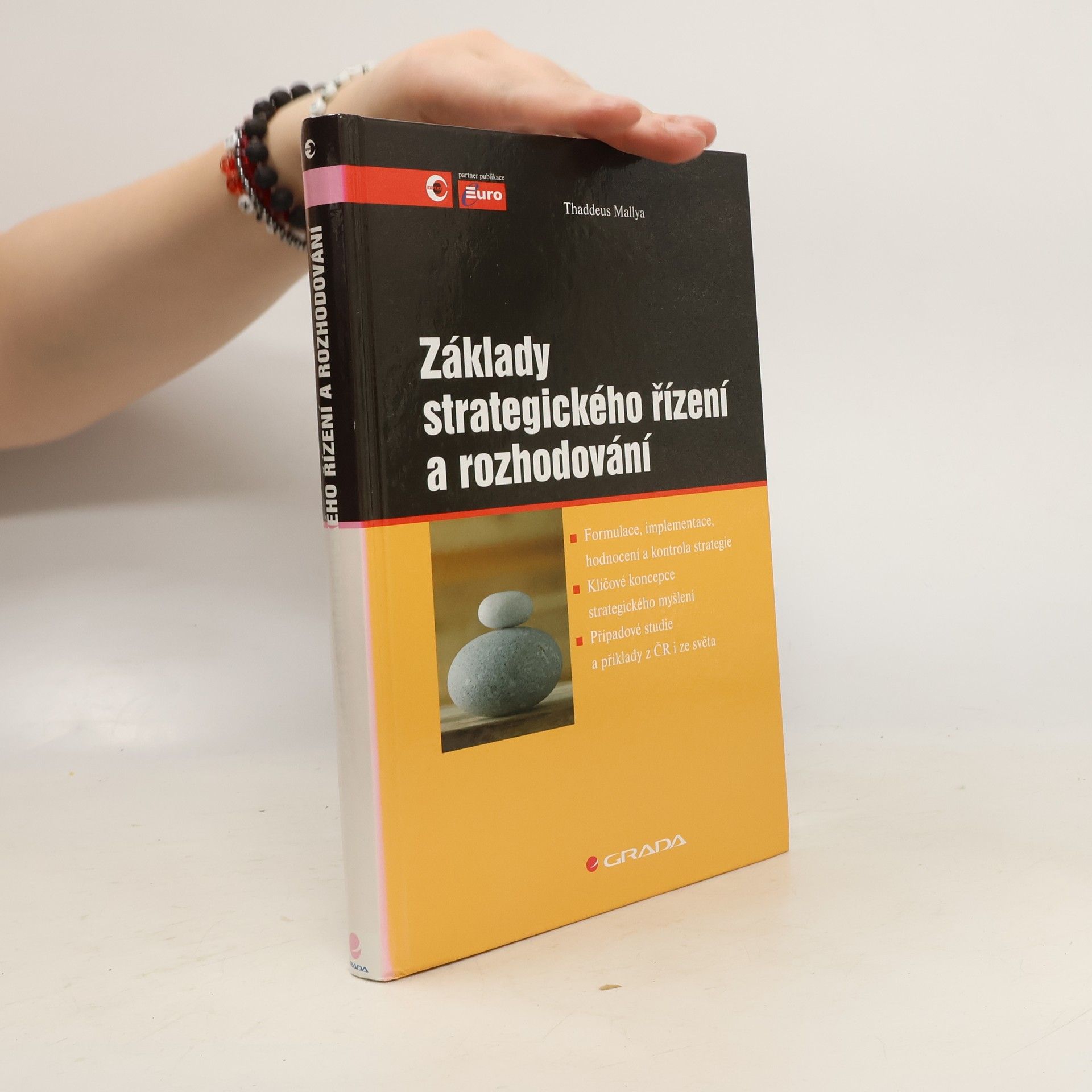 Thaddeus Mallya Základy strategického řízení a rozhodování