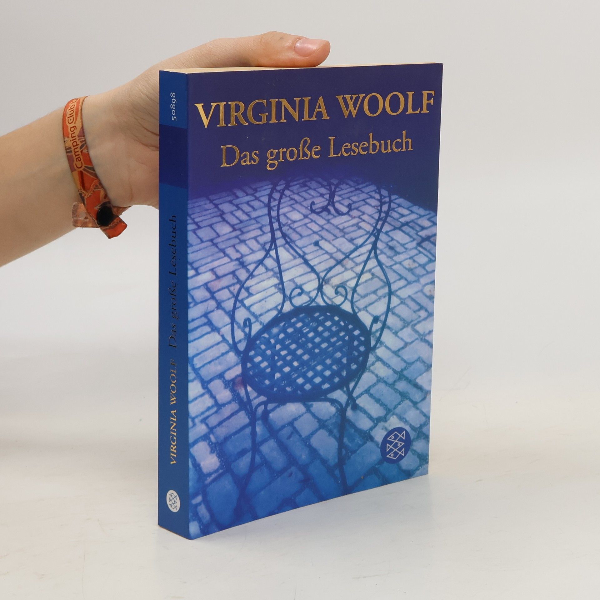 Virginia Woolf Das große Lesebuch. Originalausgabe. Ausgew. v. Corinna Fiedler