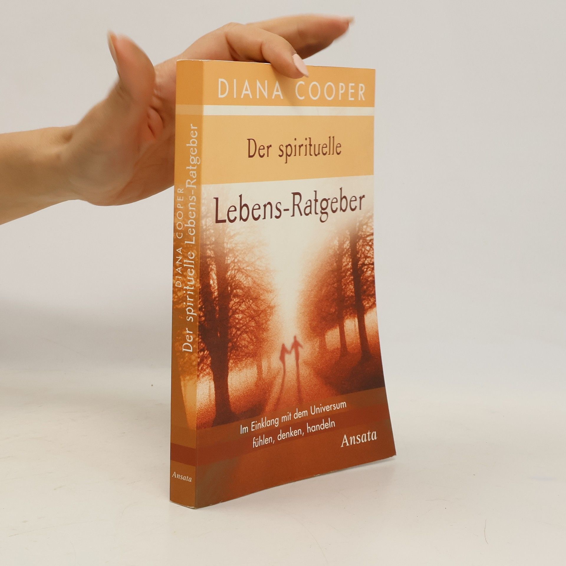 Diana Cooper Der spirituelle Lebens-Ratgeber