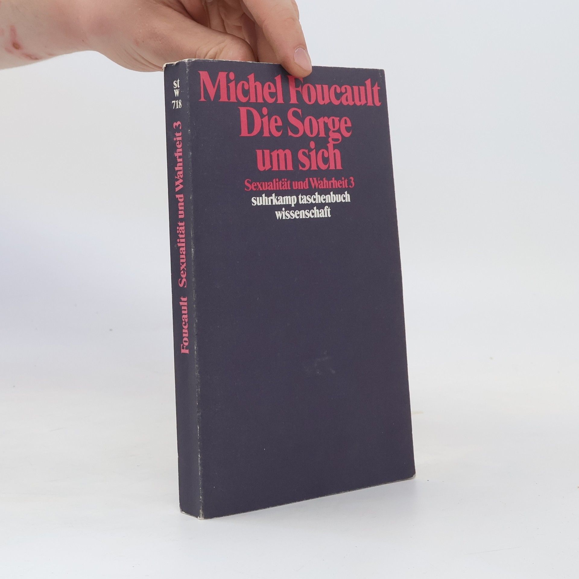 Michel Foucault Sexualität und Wahrheit 3