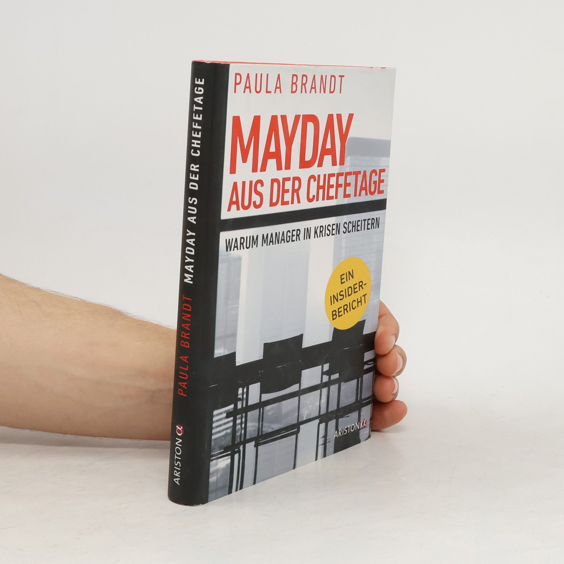 Paula Brandt Mayday aus der Chefetage