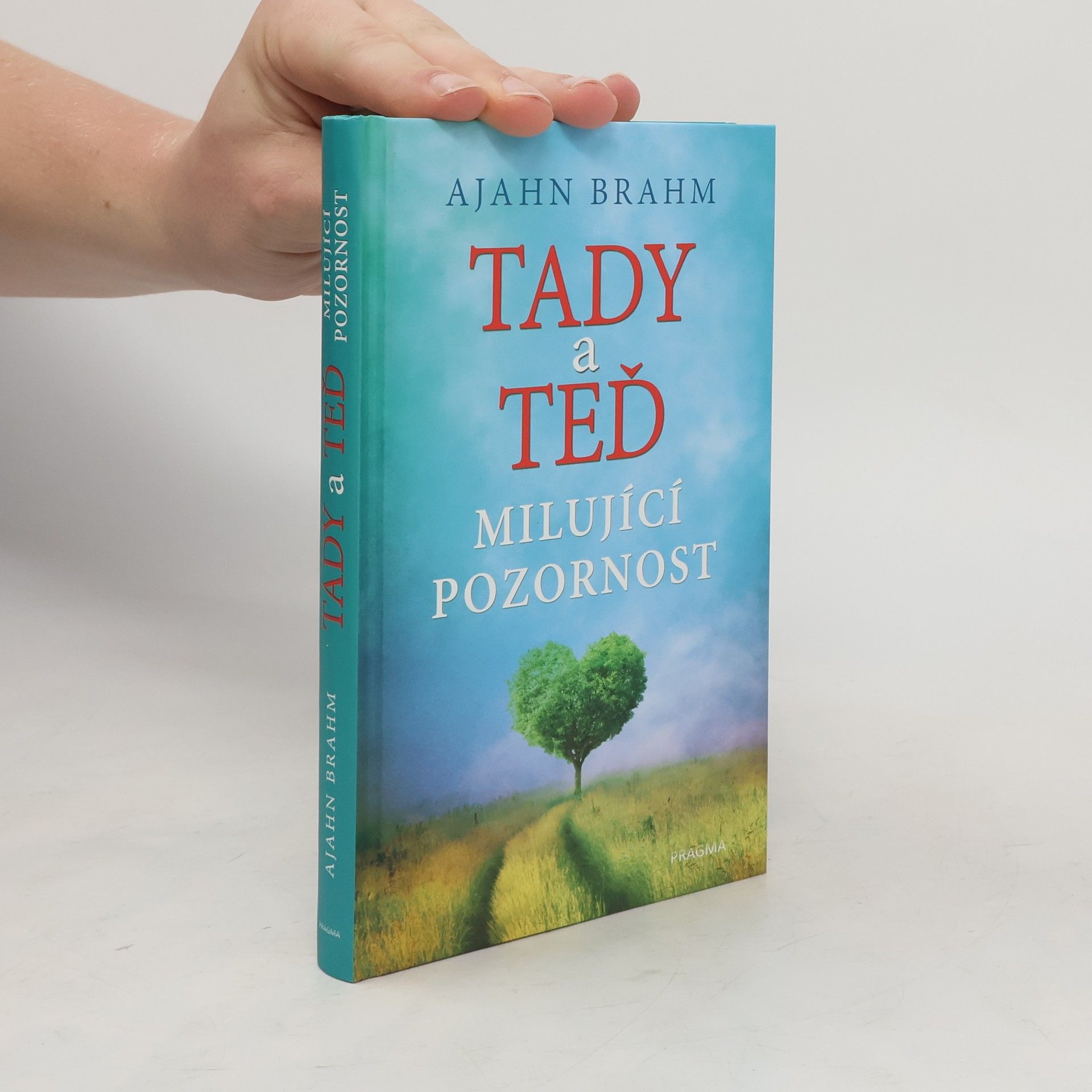 Karla Korteová Tady a teď. Milující pozornost