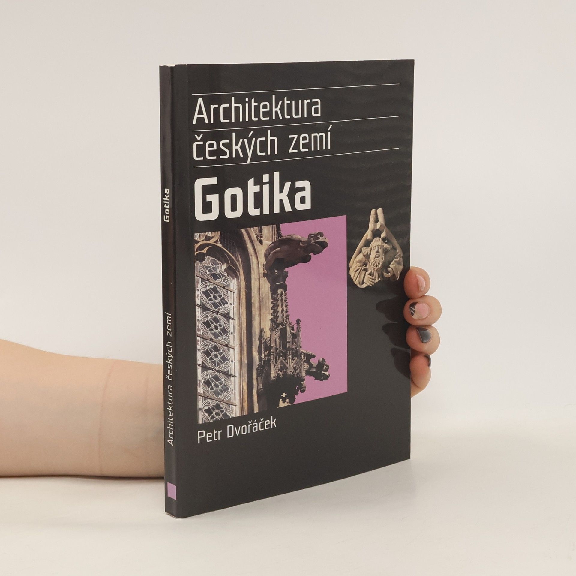 Petr Dvořáček Gotika. Architektura českých zemí