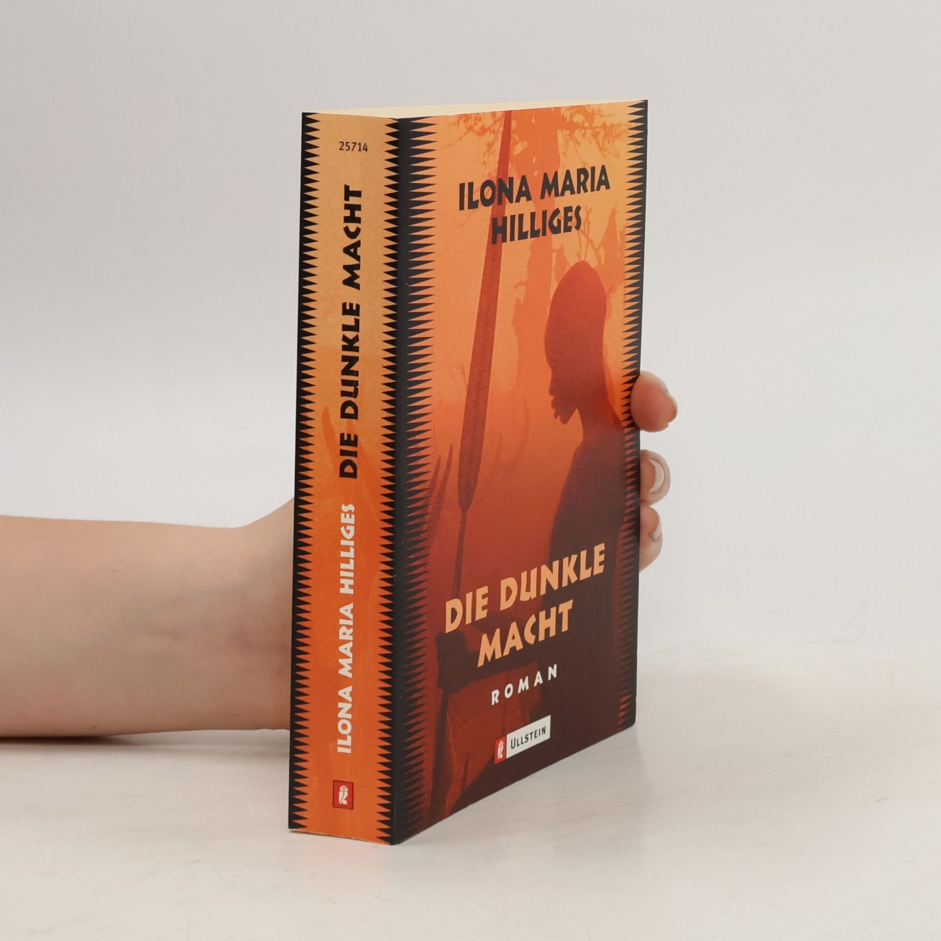 Ilona Maria Hilliges Die dunkle Macht