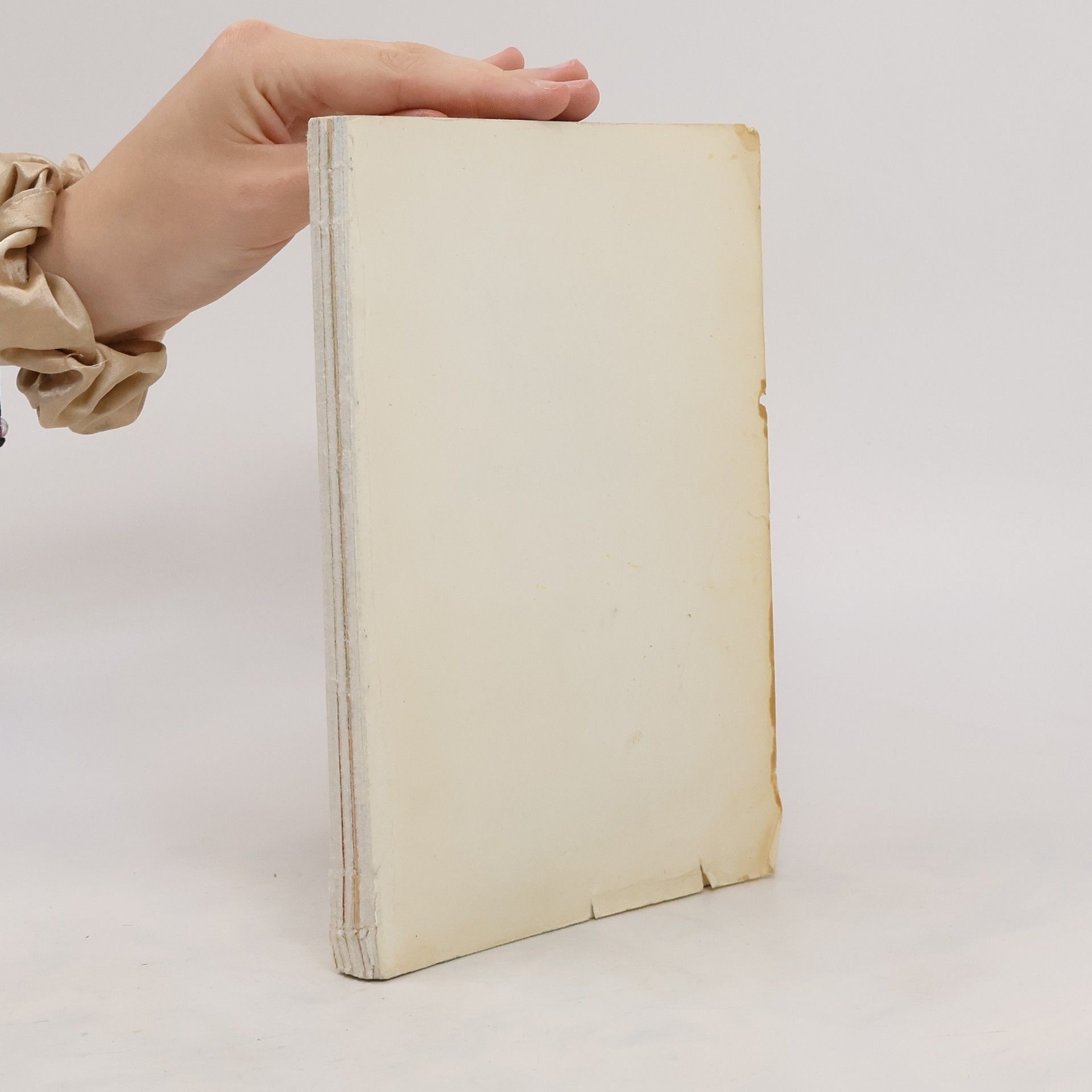 kolektiv Das neue Thea Kochbuch