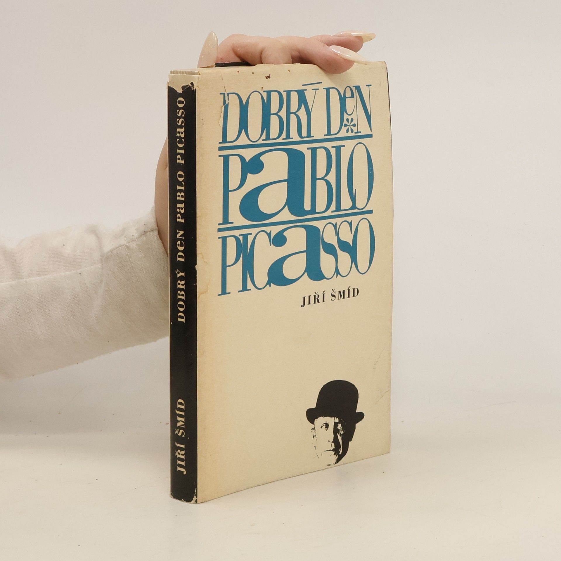 Jiří Šmíd Dobrý den Pablo Picasso. Úvahy sebrané cestou.