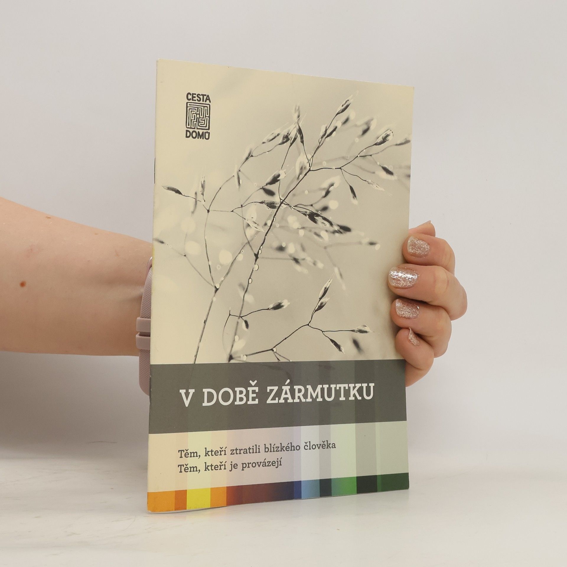 Daniela Tausch Flammer V době zármutku