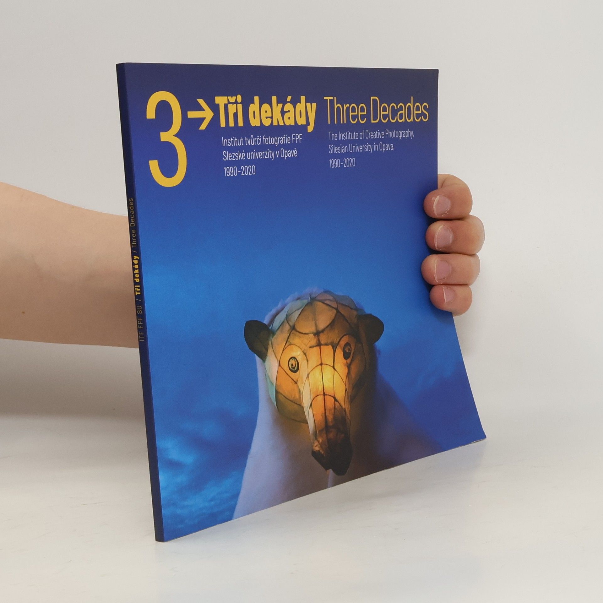 Vladimír Birgus Tři dekády: Institut tvůrčí fotografie FPF Slezské univerzity v Opavě 1990-2020
