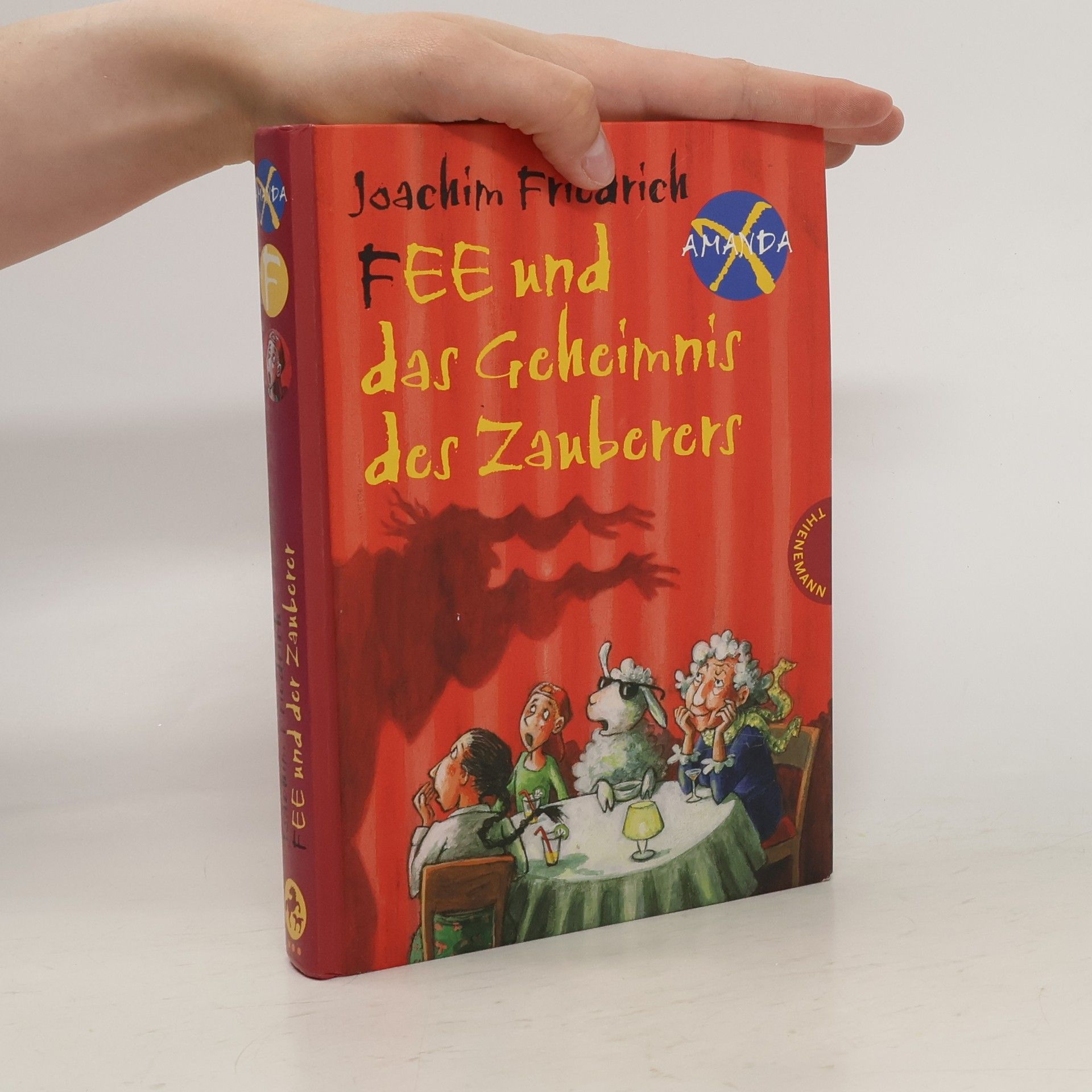 Joachim-Friedrich Kapp FEE und das Geheimnis des Zauberers