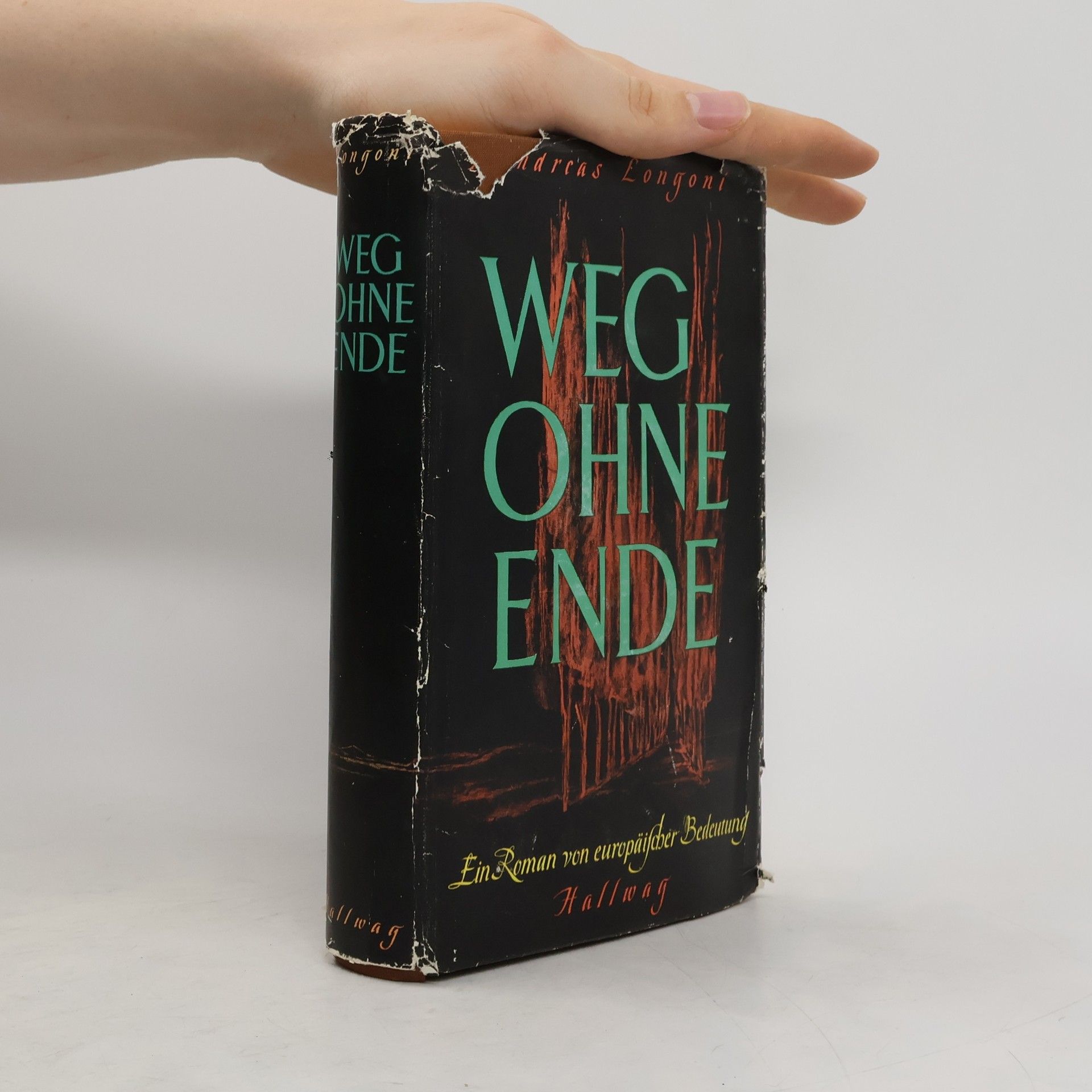 Andreas Longoni Weg ohne Ende