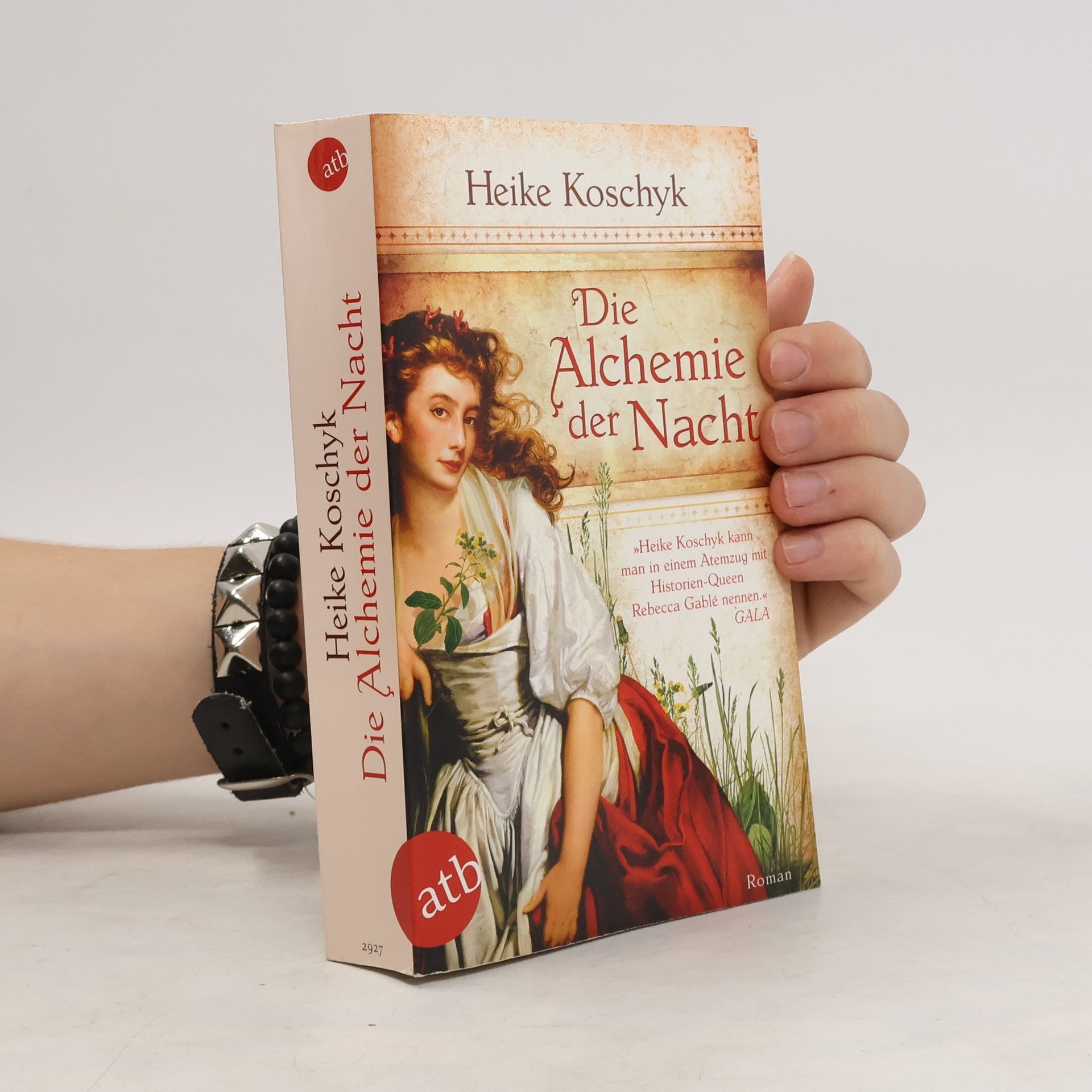 Heike Koschyk Die Alchemie der Nacht