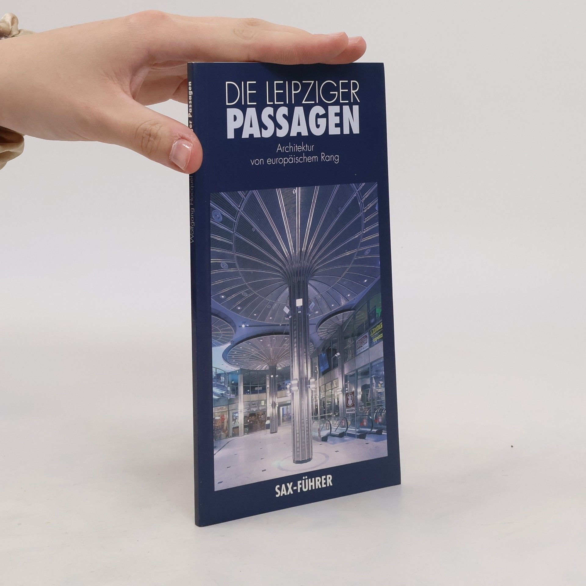 Wolfgang Hocquél Die Leipziger Passagen