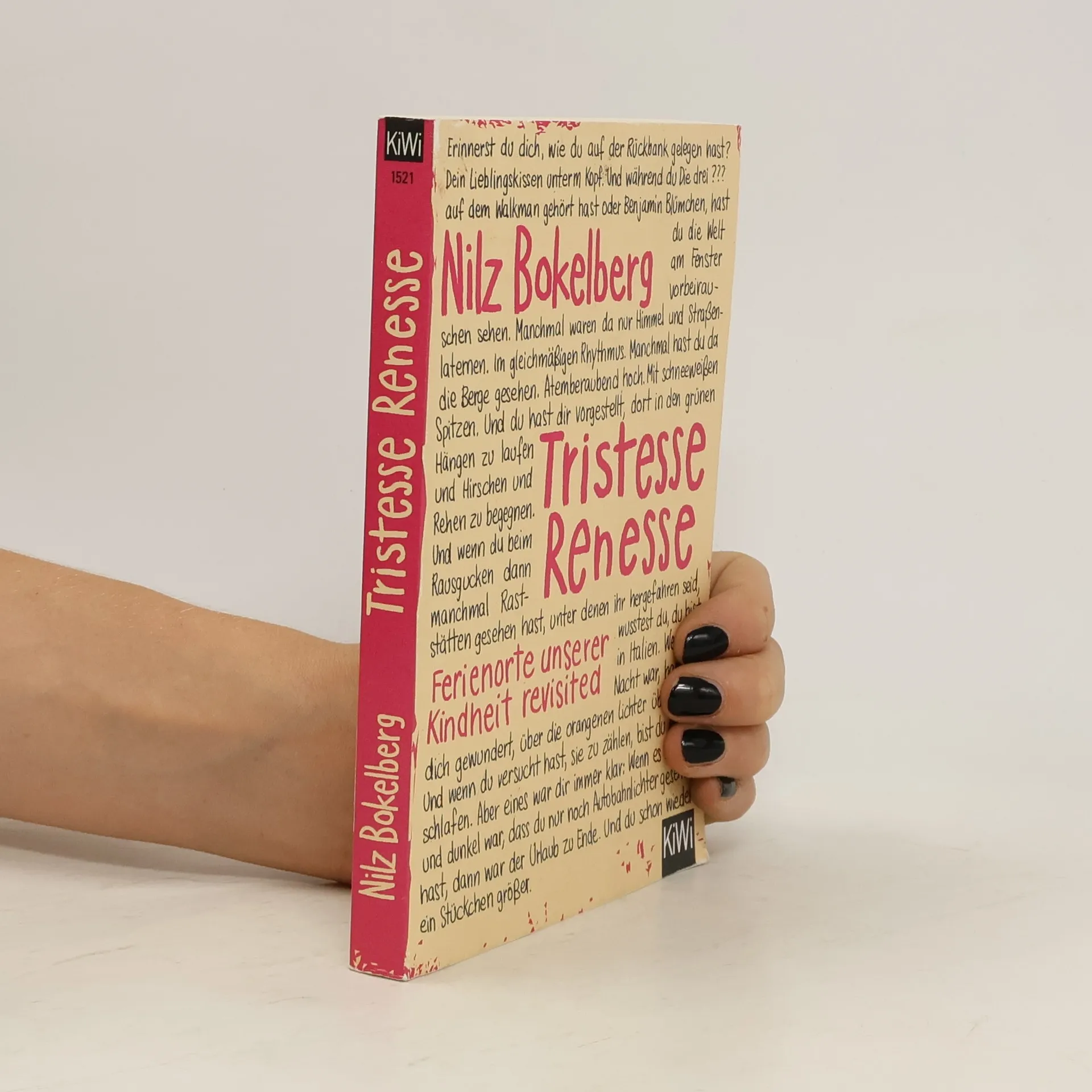 Tristesse Renesse | Buch | Nilz Bokelberg