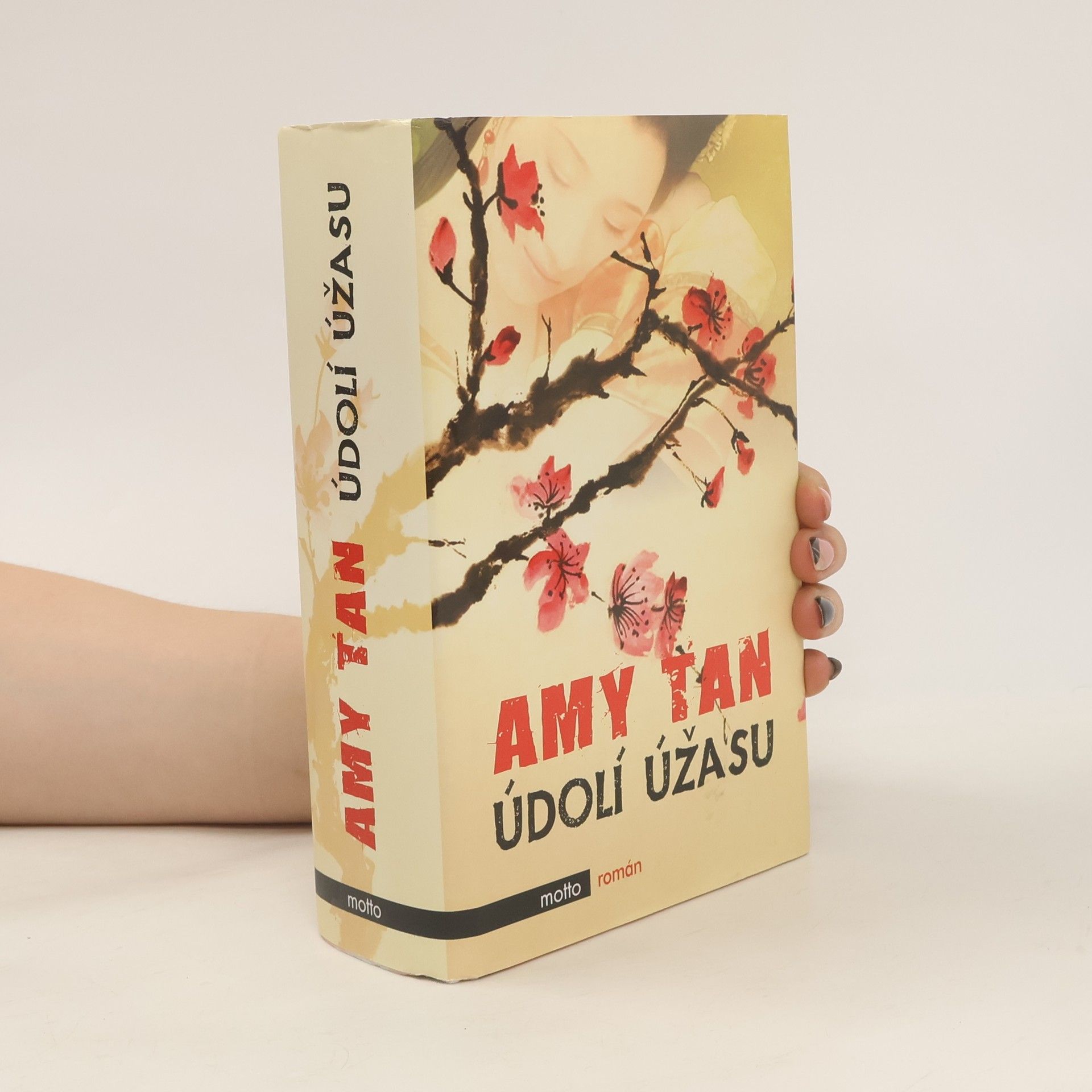 Amy Tan Údolí úžasu