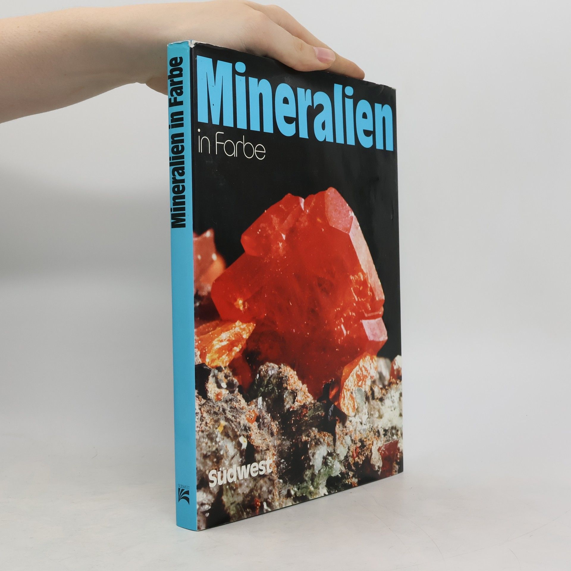 Vincenzo De Michele Mineralien in Farbe