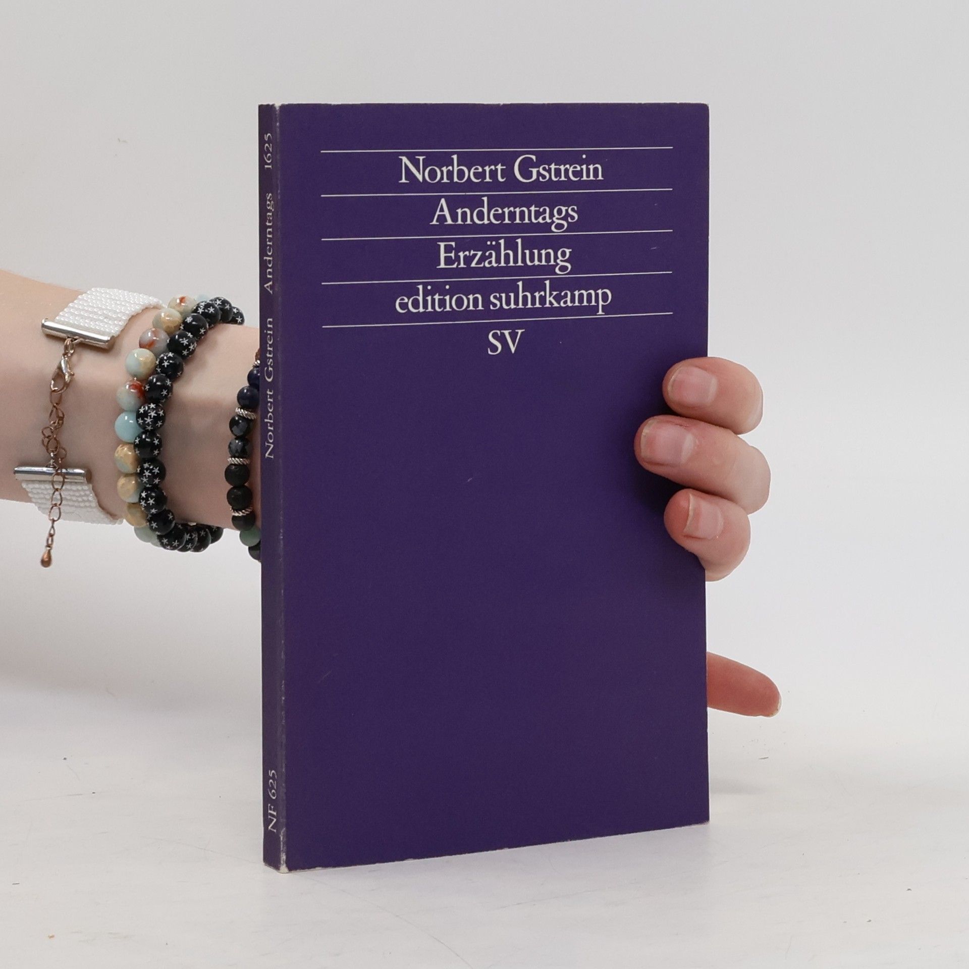 Norbert Gstrein Anderntags