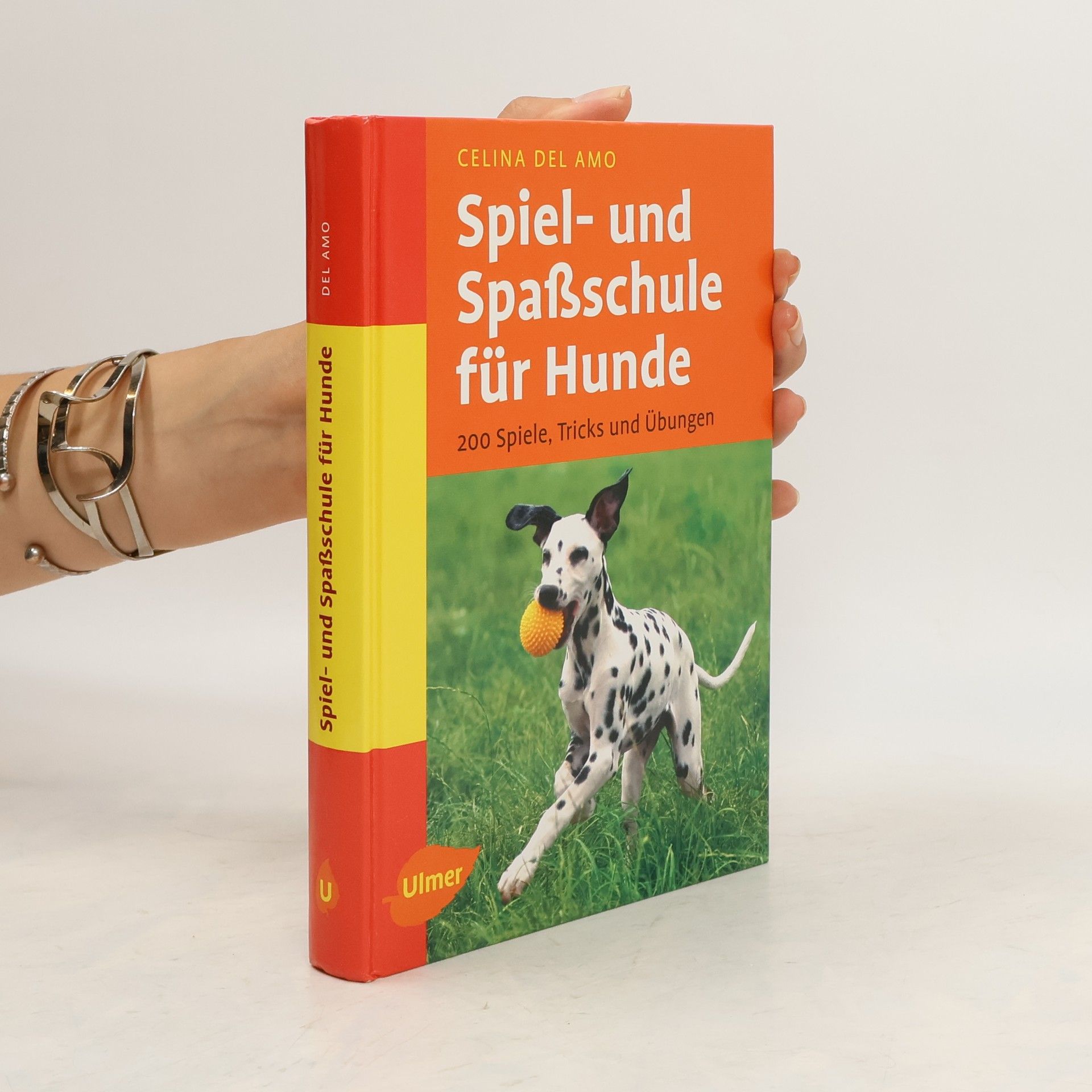 Celina Del Amo Spiel- und Spaßschule für Hunde