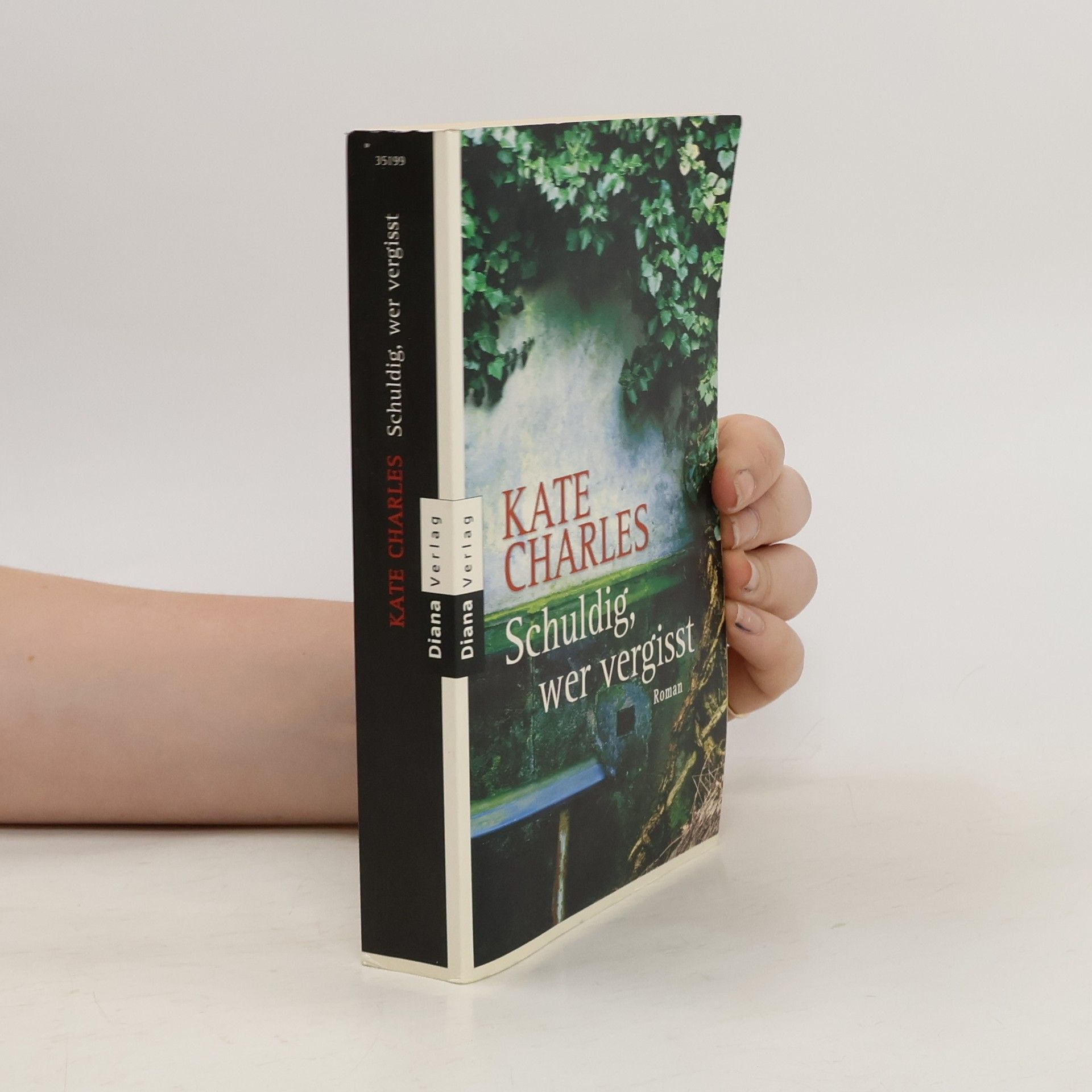 Kate Charles Schuldig, wer vergisst
