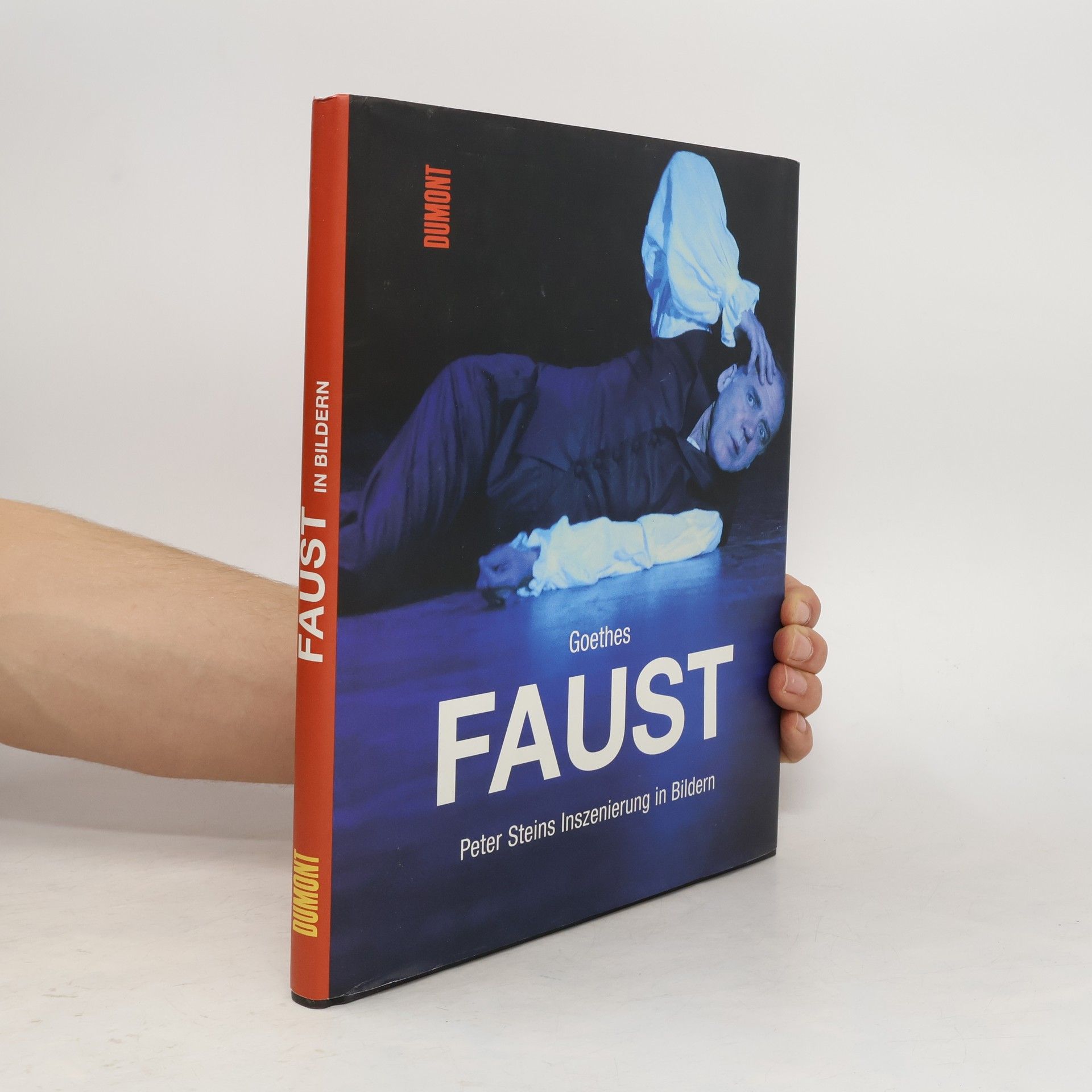 Ruth Walz Goethes Faust