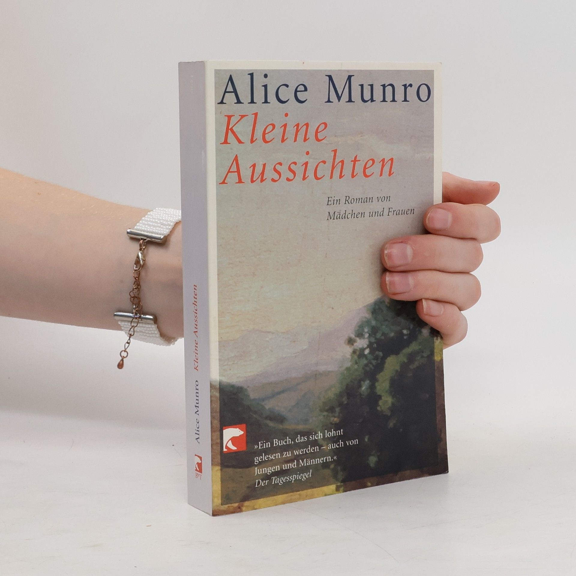 Alice Munro Kleine Aussichten