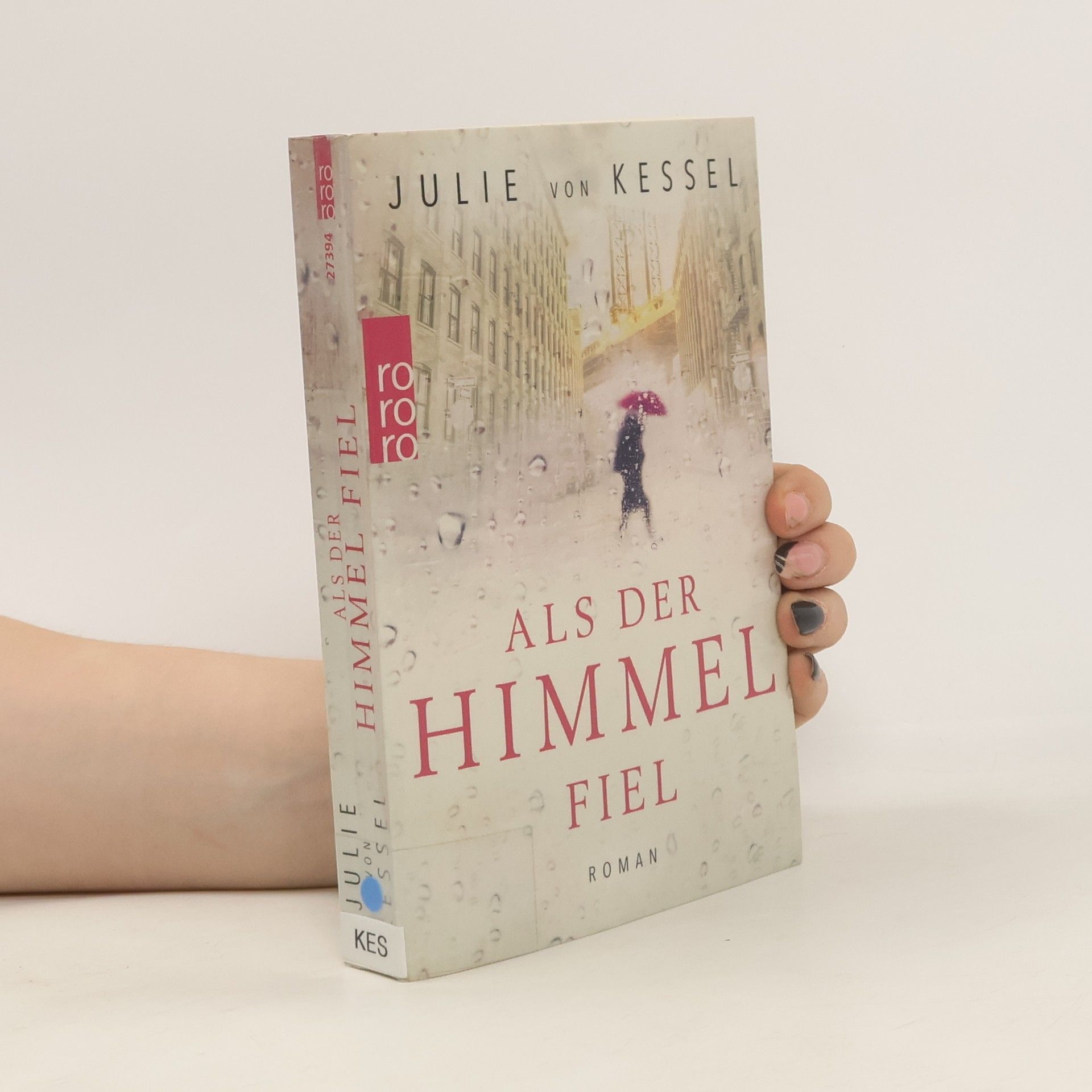 Julie von Kessel Als der Himmel fiel