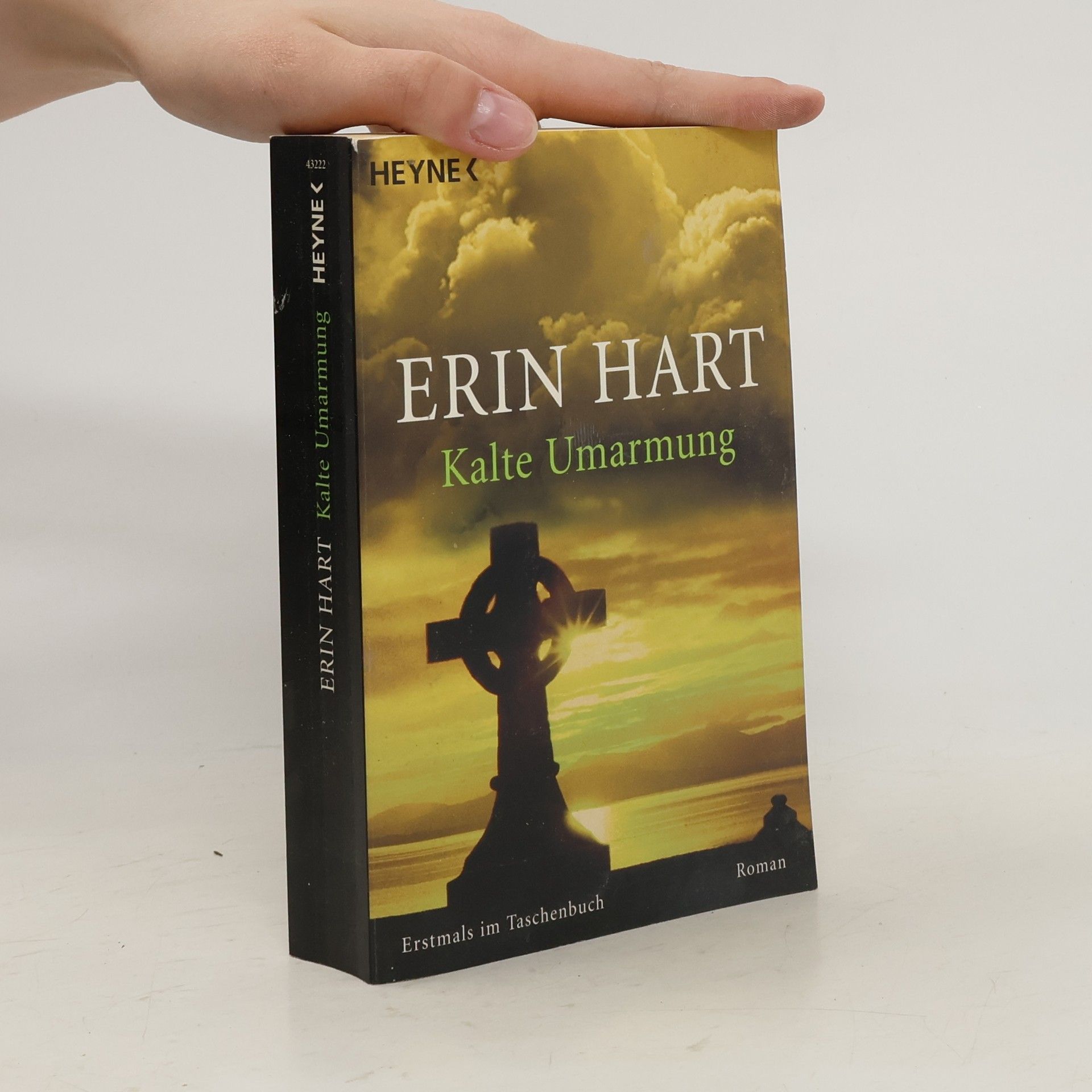 Erin Hart Kalte Umarmung