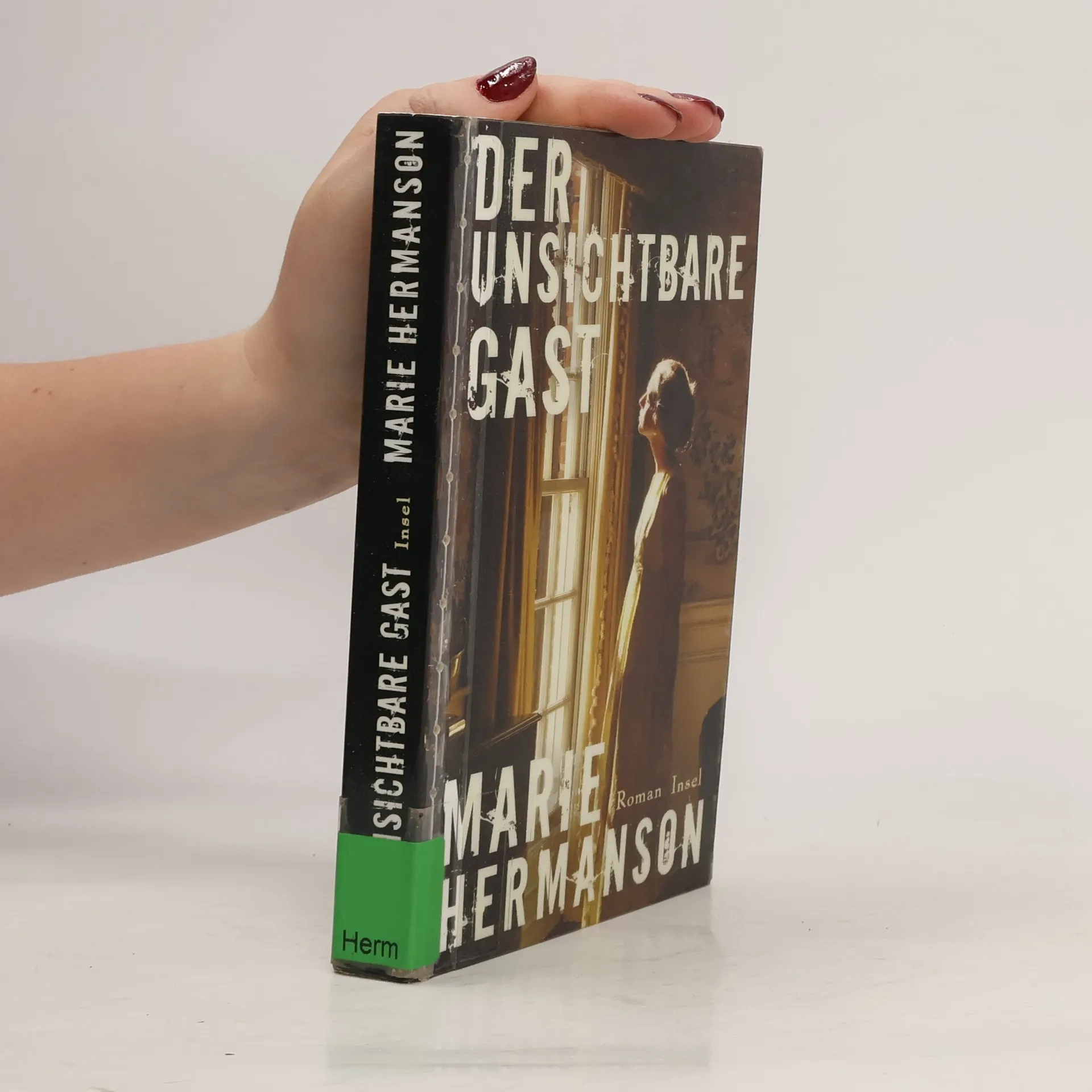 Der unsichtbare Gast | Book | Marie Hermanson | DE