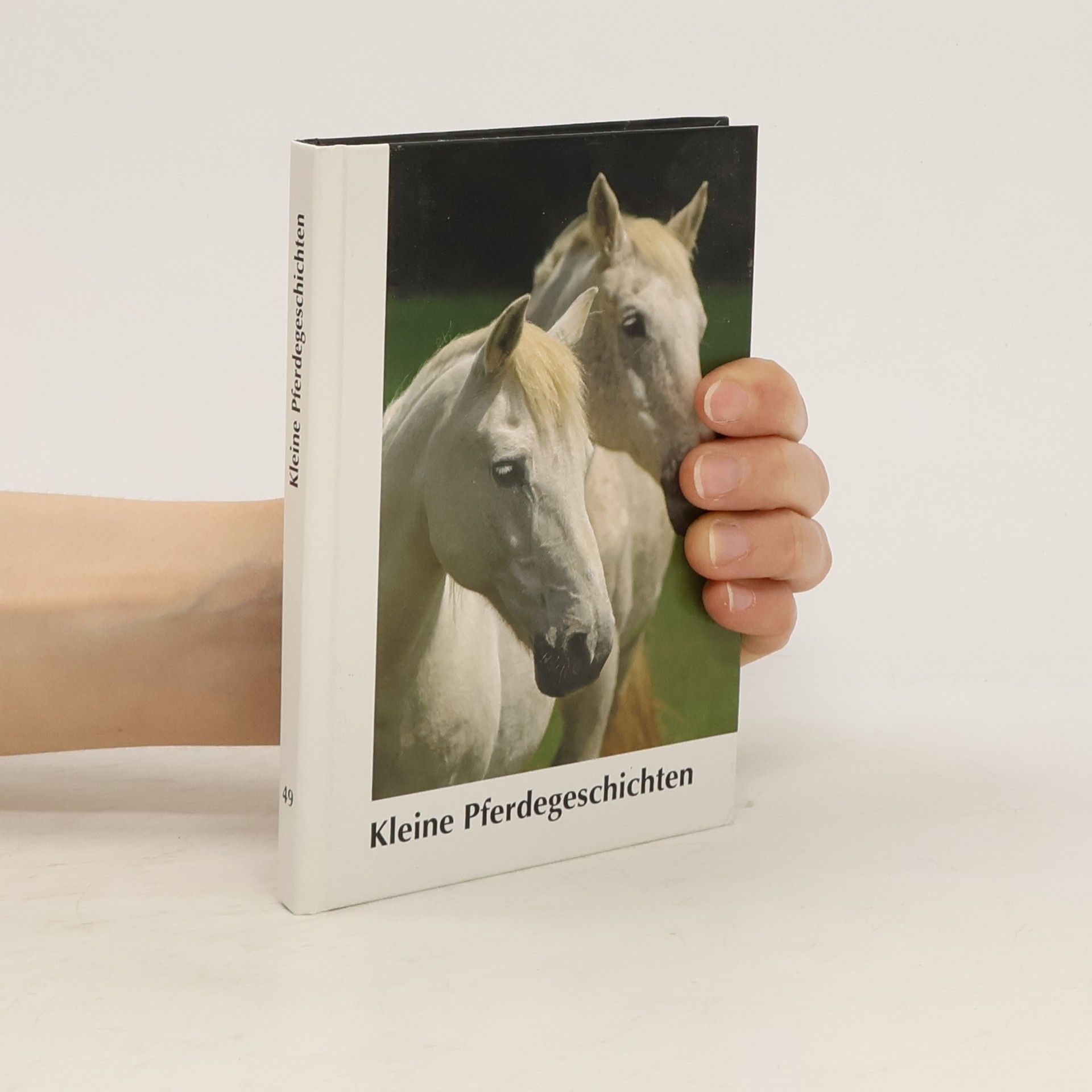 Collectif d'auteurs Kleine Pferdegeschichten