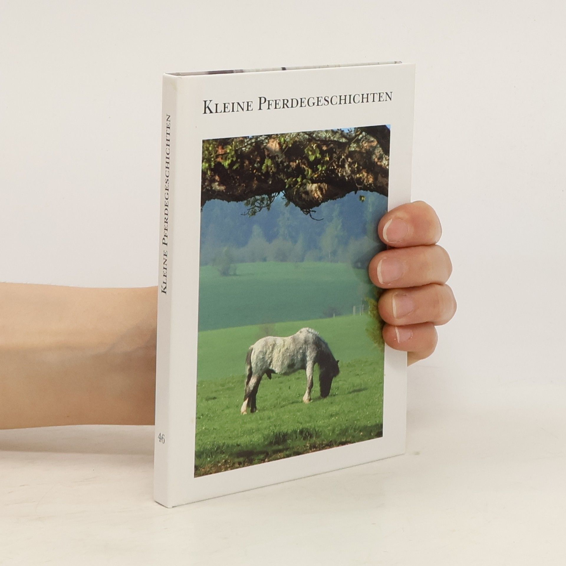 Collectif d'auteurs Kleine Pferdegeschichten 46
