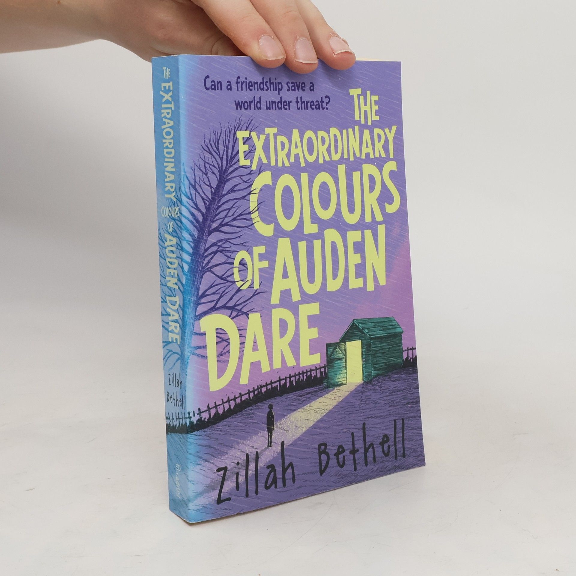 Zillah Bethell The Extraordinary Colours of Auden Dare
