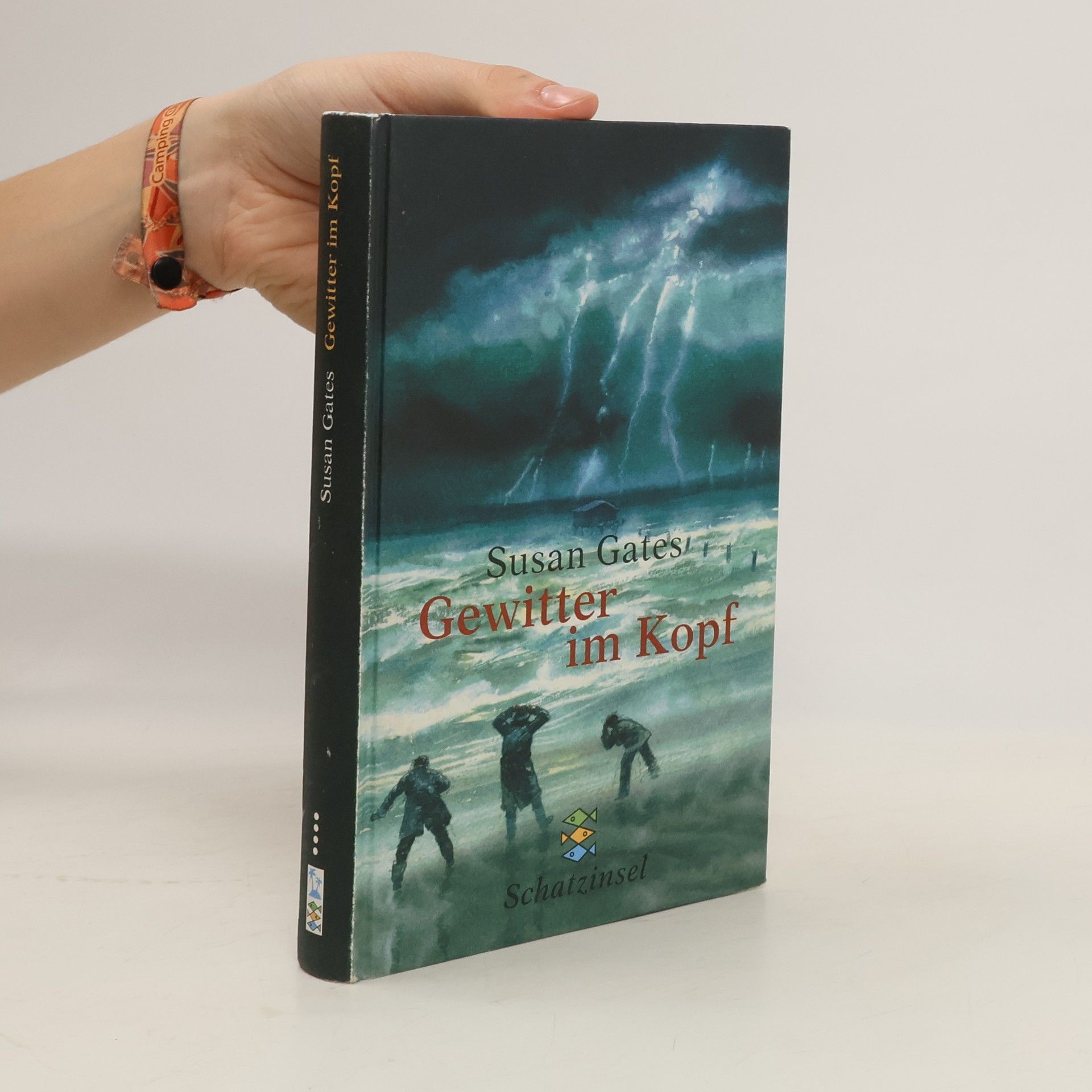 Susan Gates Gewitter im Kopf. Aus d. Engl. v. Brigitte Jakobeit