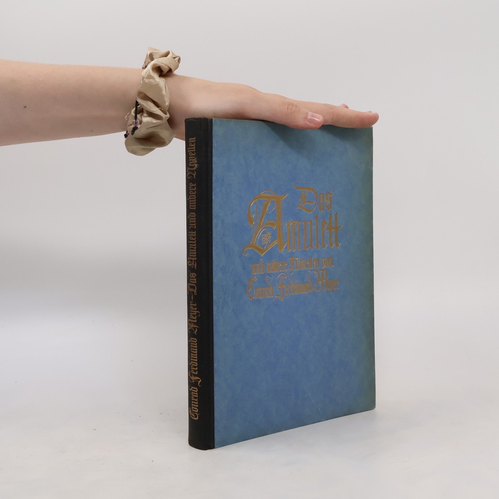 Conrad Ferdinand Meyer Das Amuett und andere Novellen