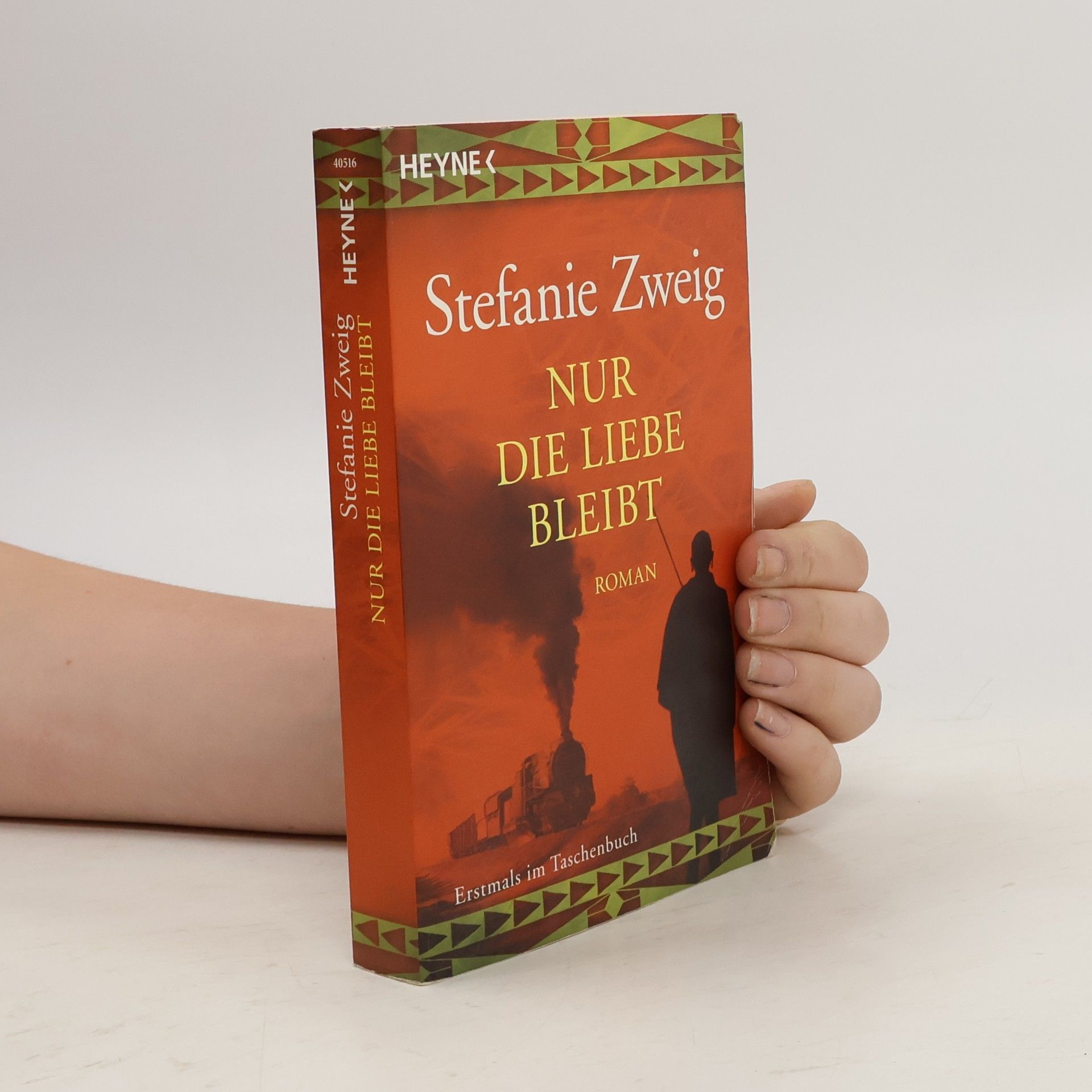 Stefanie Zweig Nur die Liebe bleibt