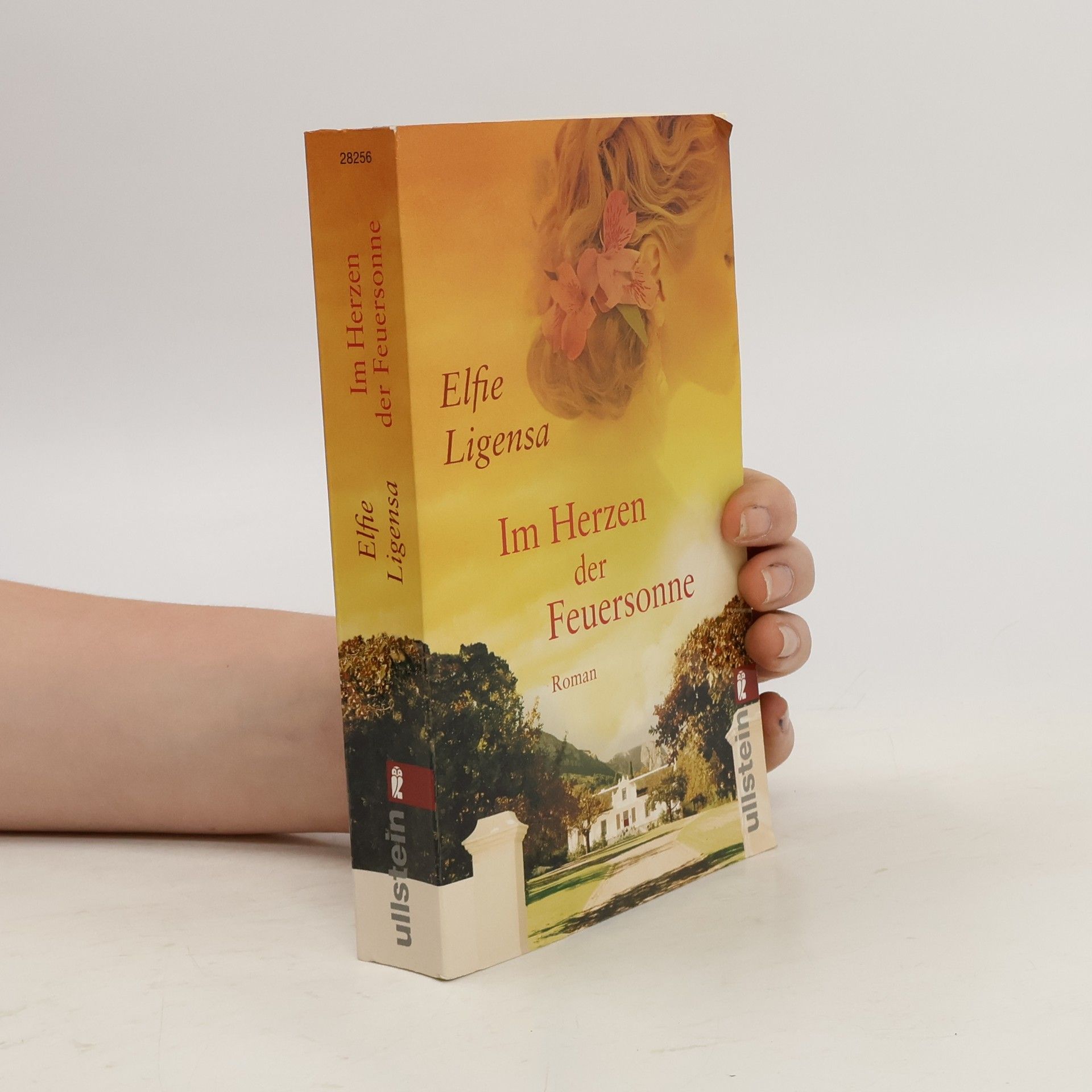 Elfie Ligensa Im Herzen der Feuersonne