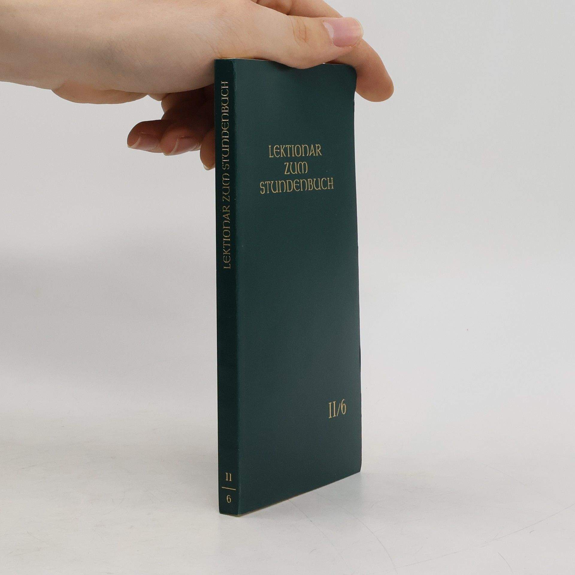 Kolektív autorov Lektionar zum Stundenbuch II/6