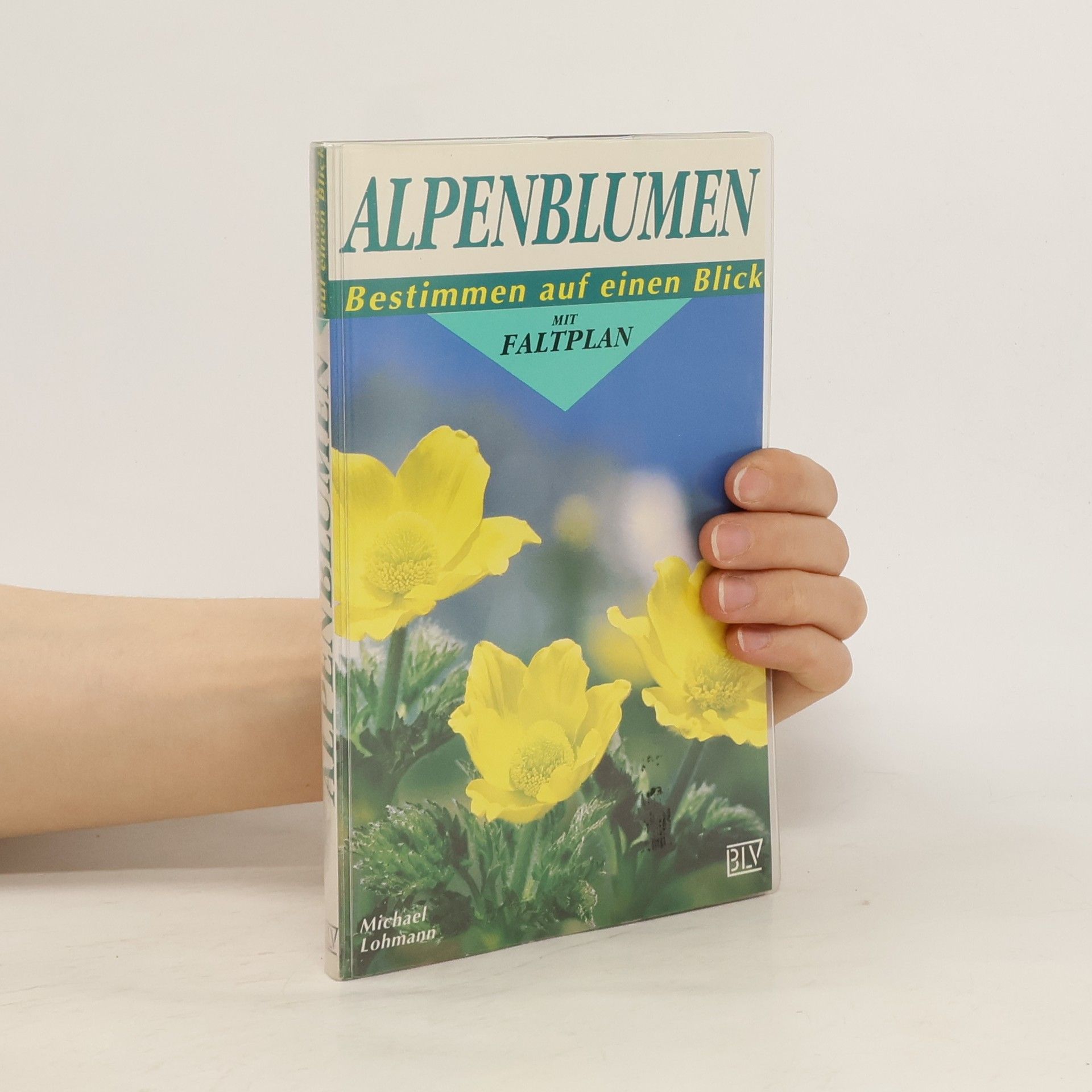 Michael Lohmann Alpenblumen