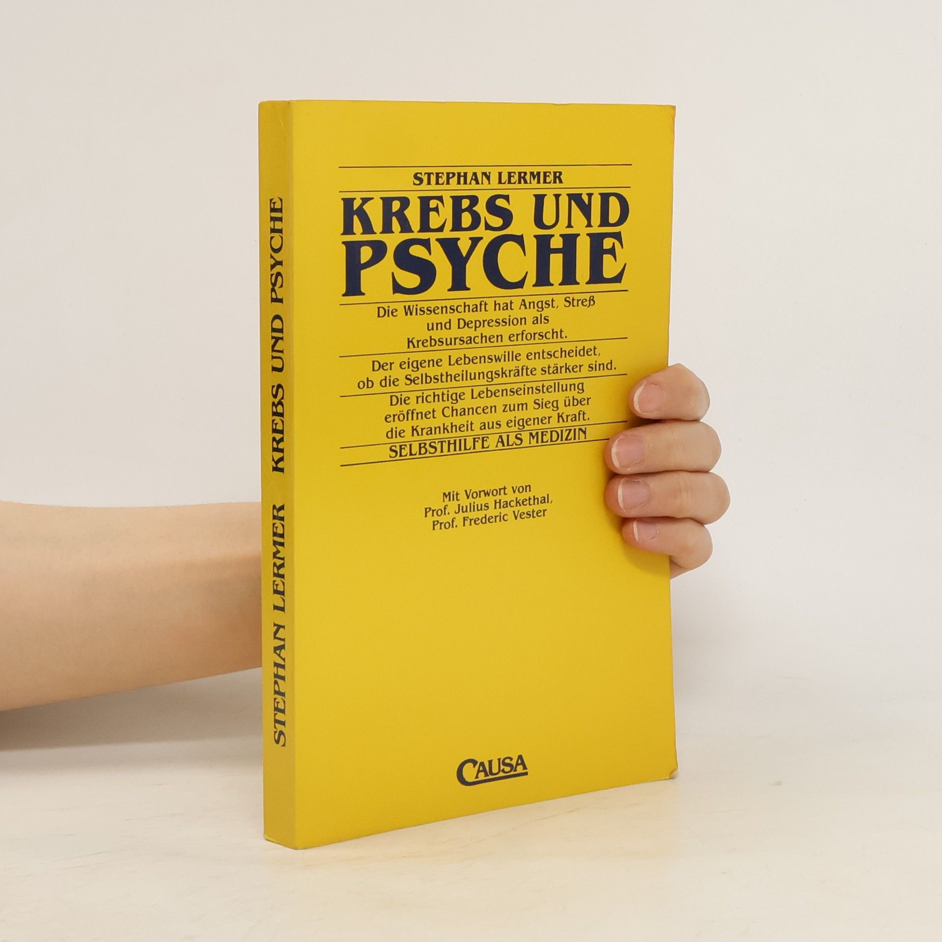 Stephan Lermer Krebs und Psyche